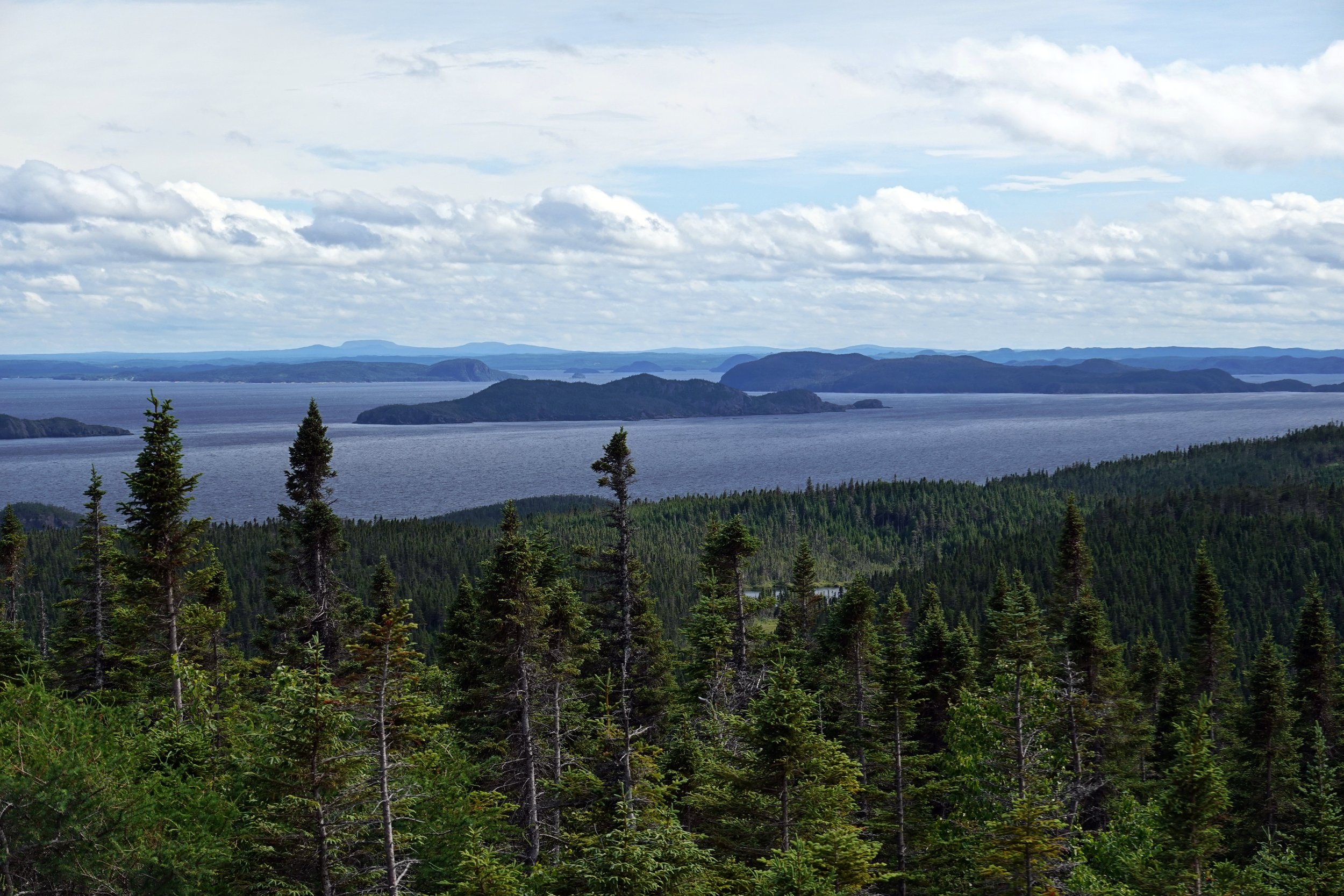 Southern view from the summit of Flagstaffe Trail (aka Hillbilly Highway)