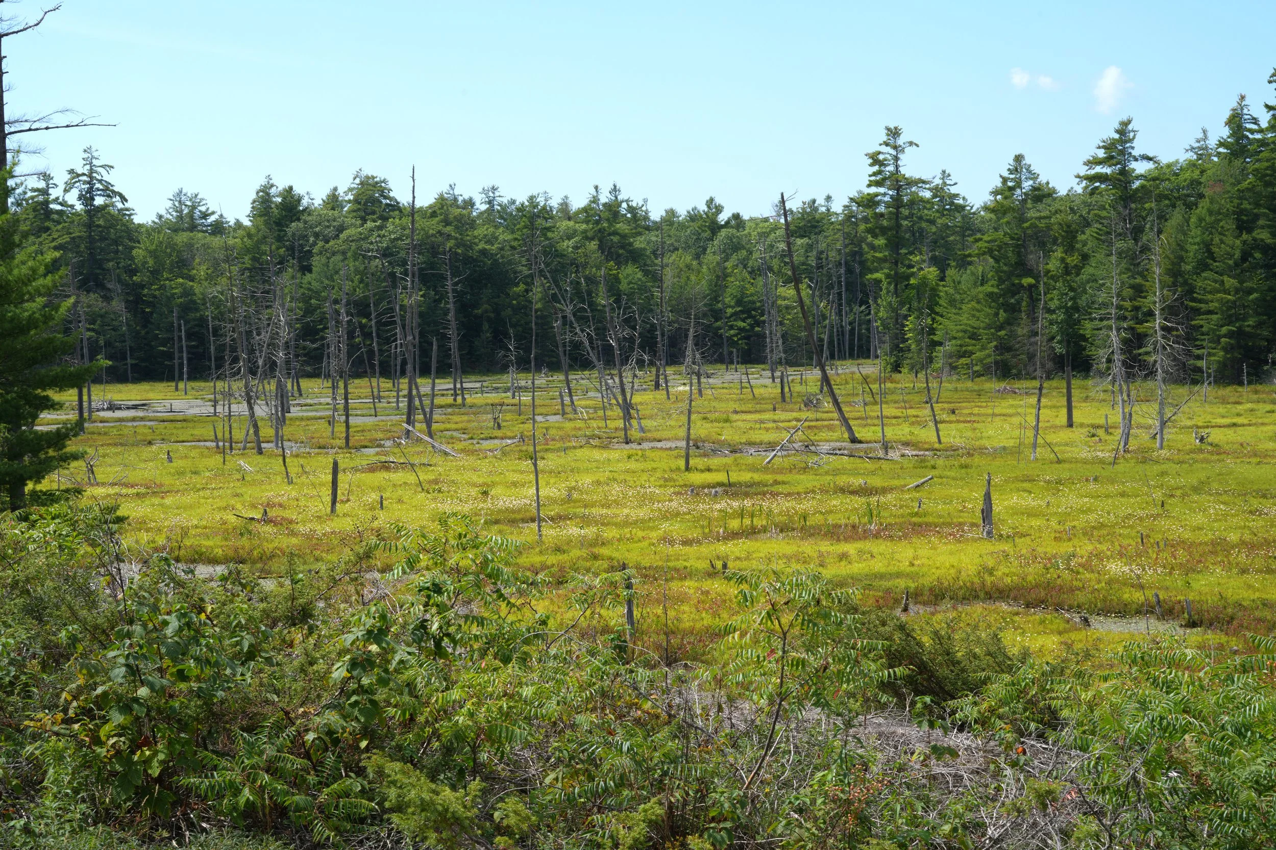View from hydro right-of-way along trail