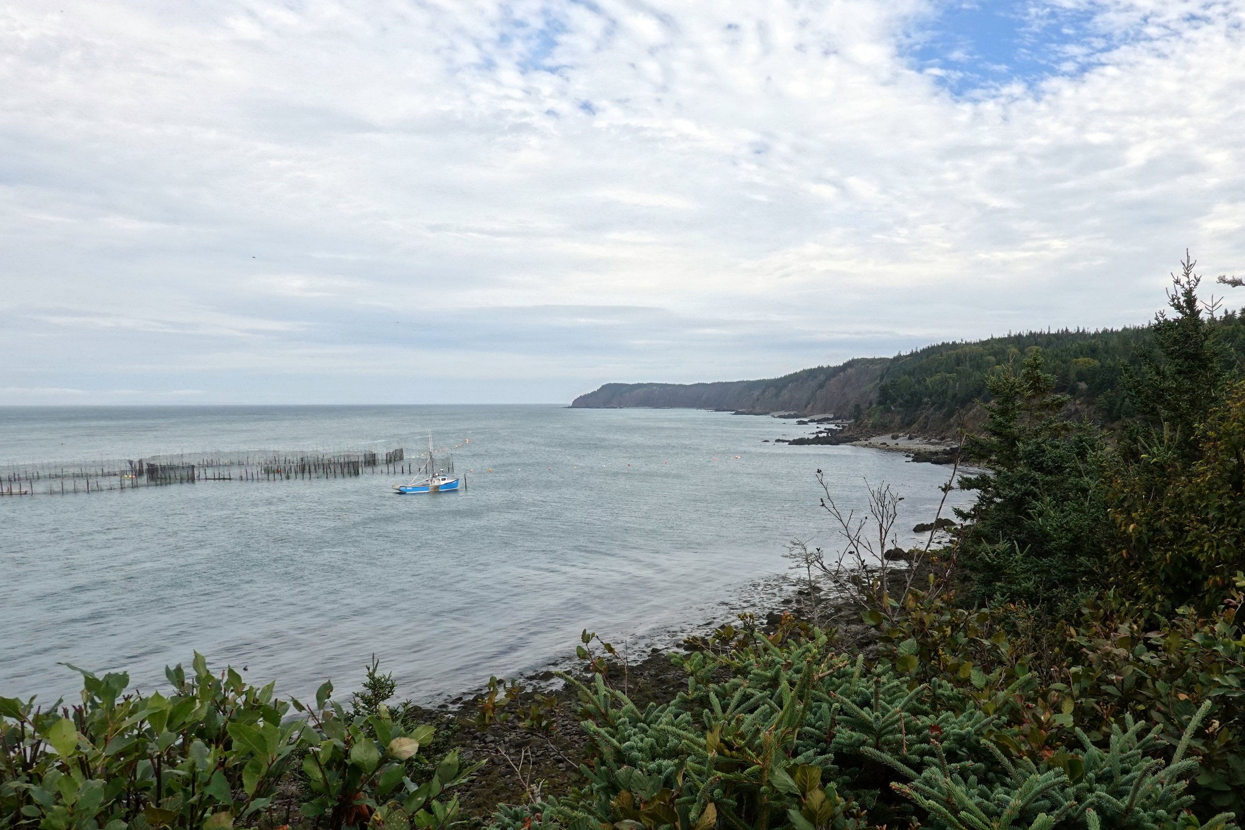 Bradford Cove