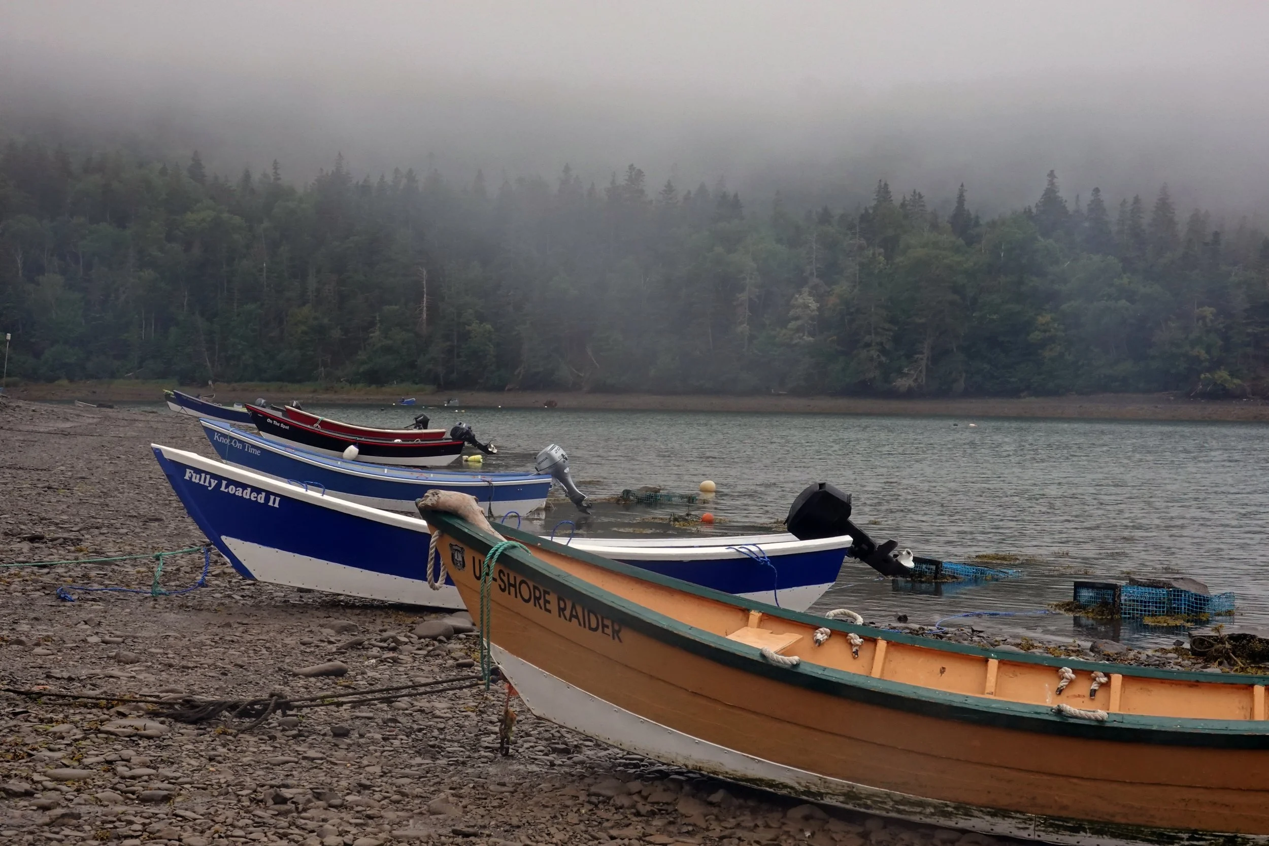Dark Harbour