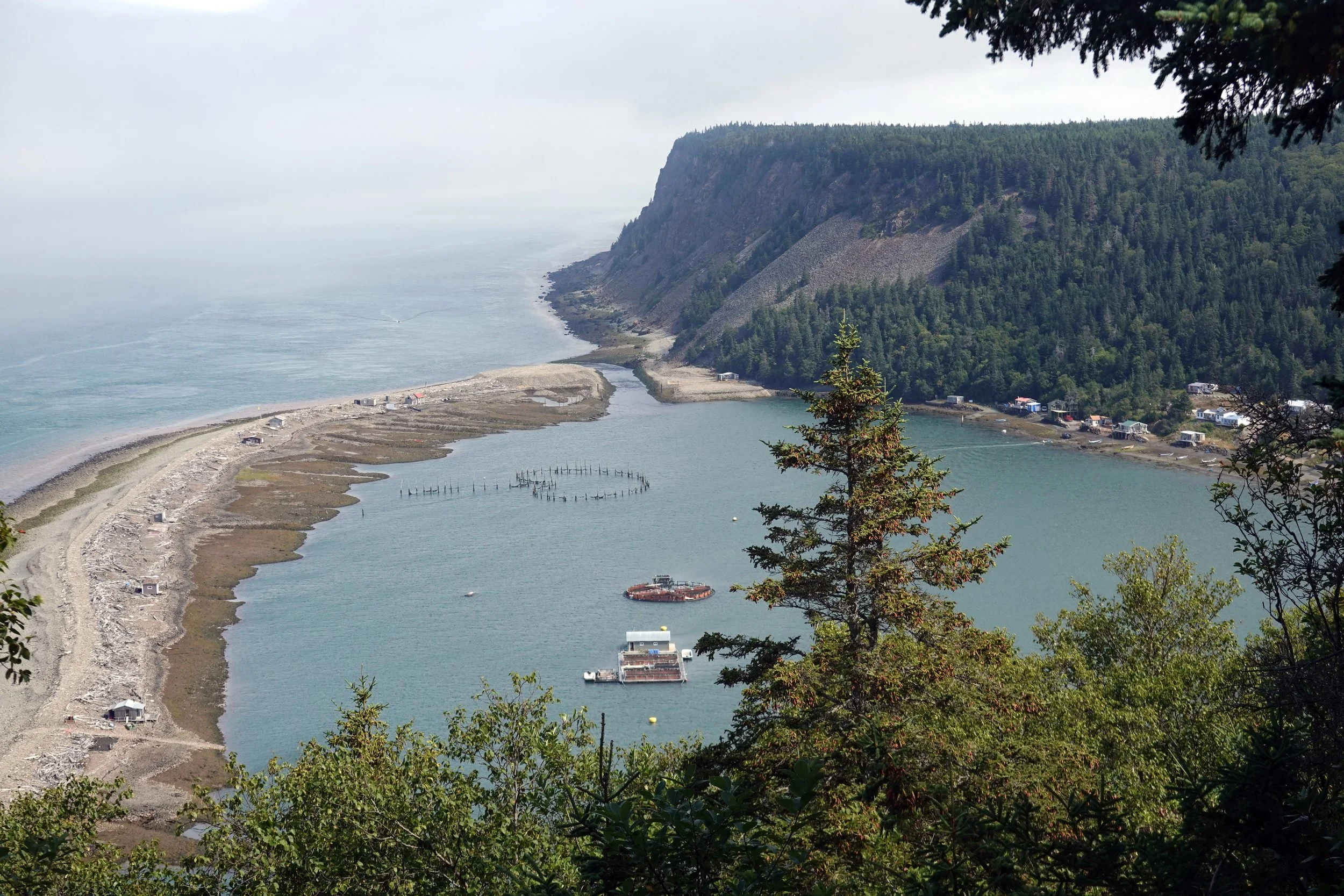 Dark Harbour from Dark Harbour Trail