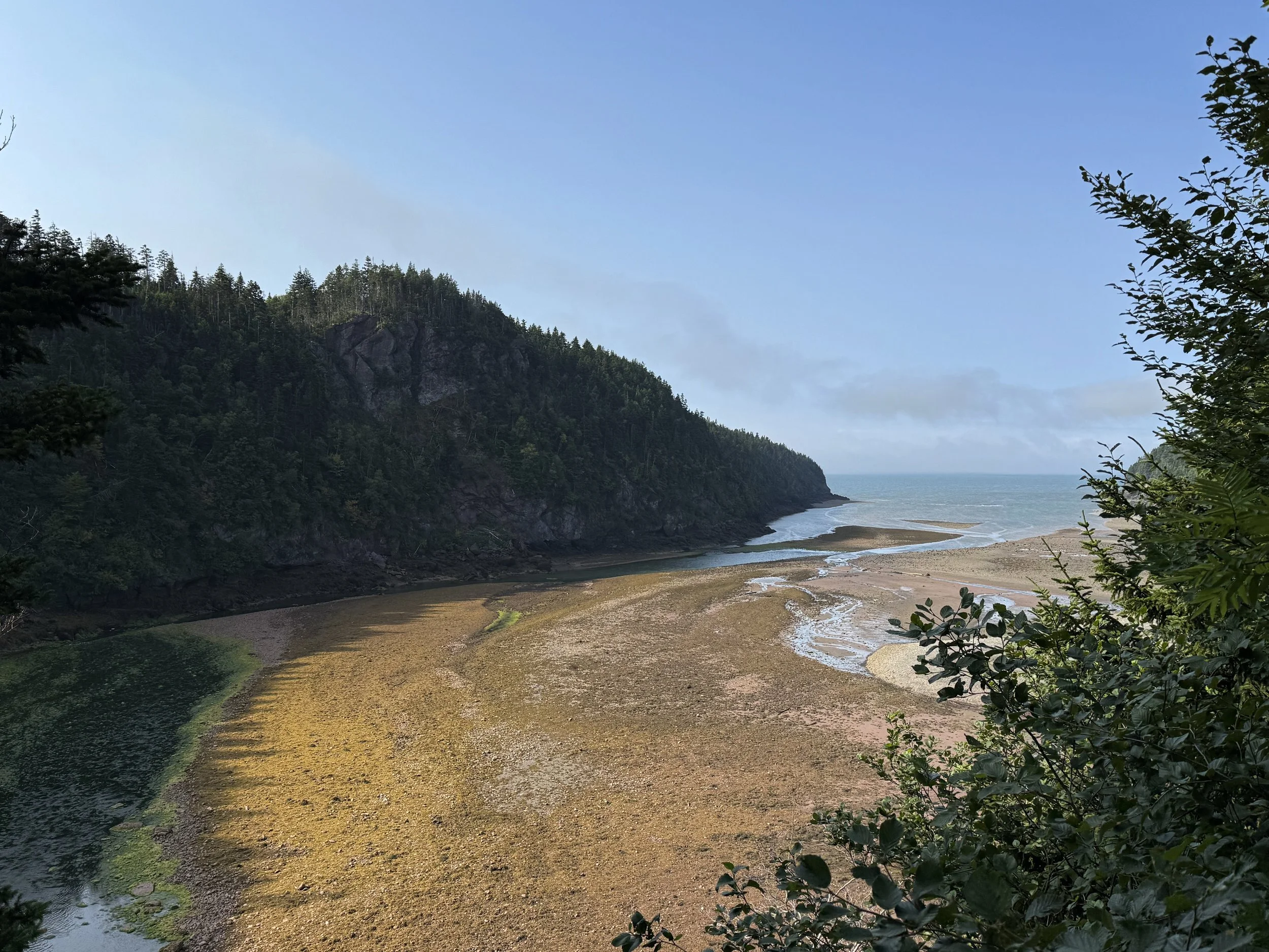 Shiphaven Trail
