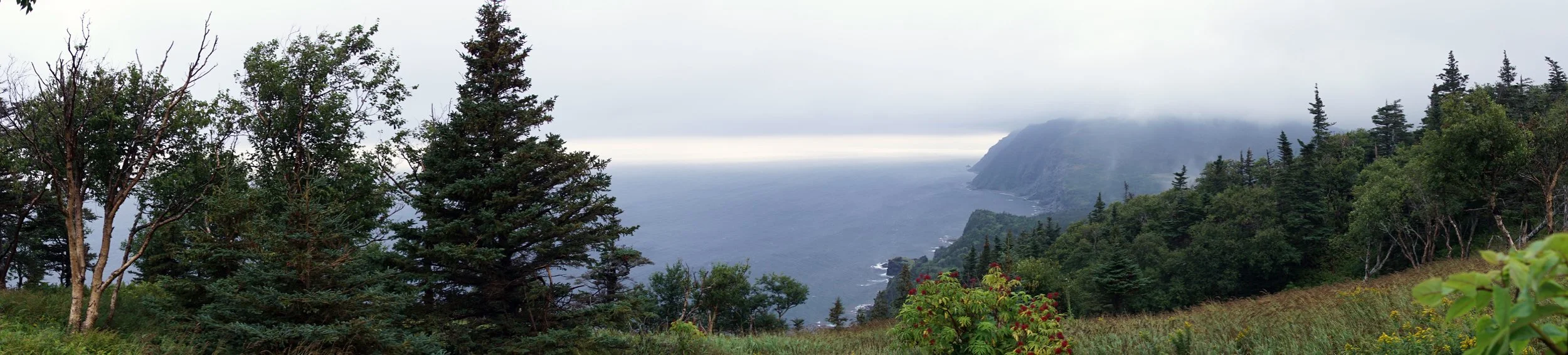 View from terminus of Green Gardens Trail