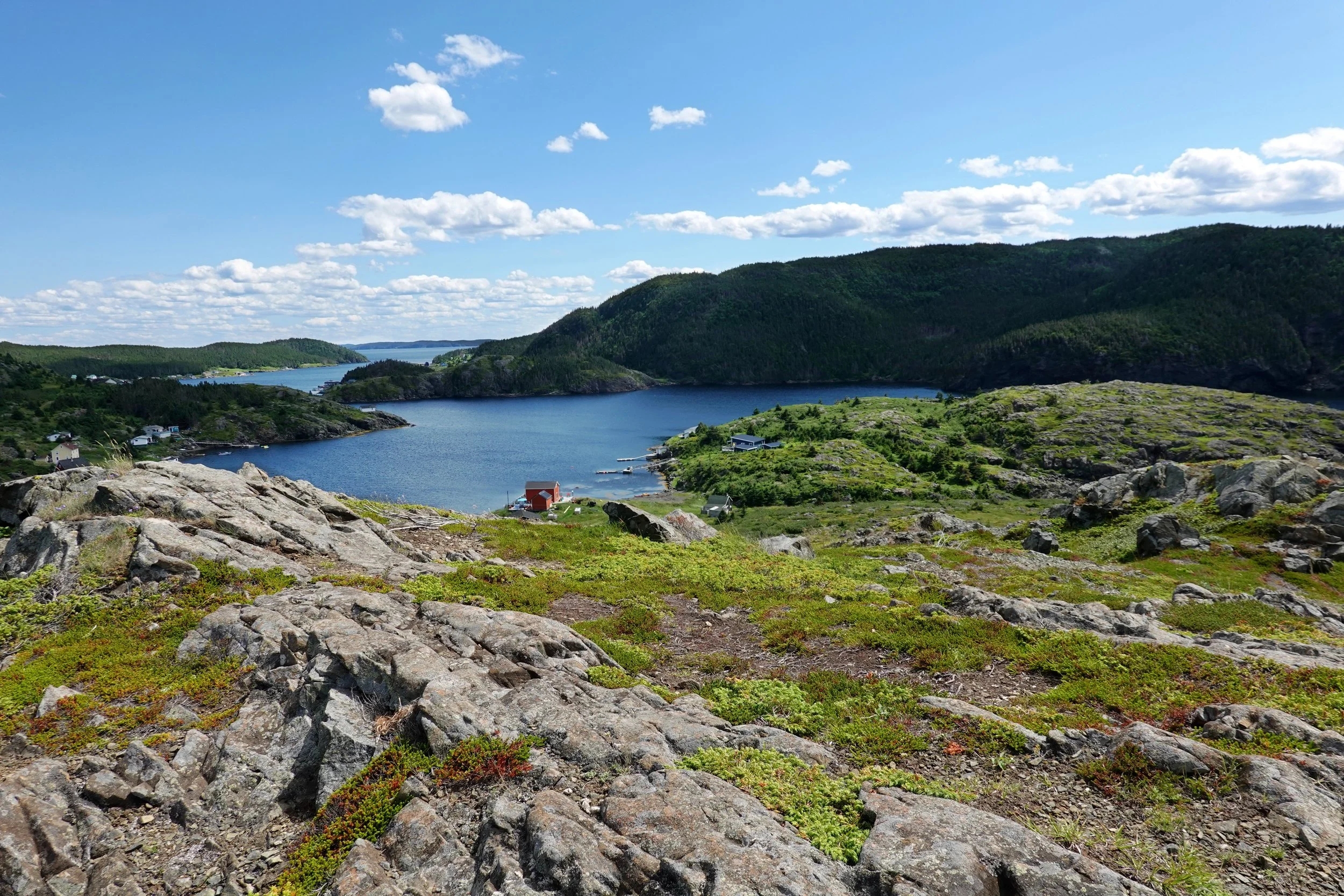 Upper Harbour from hill near Manuel Gulch
