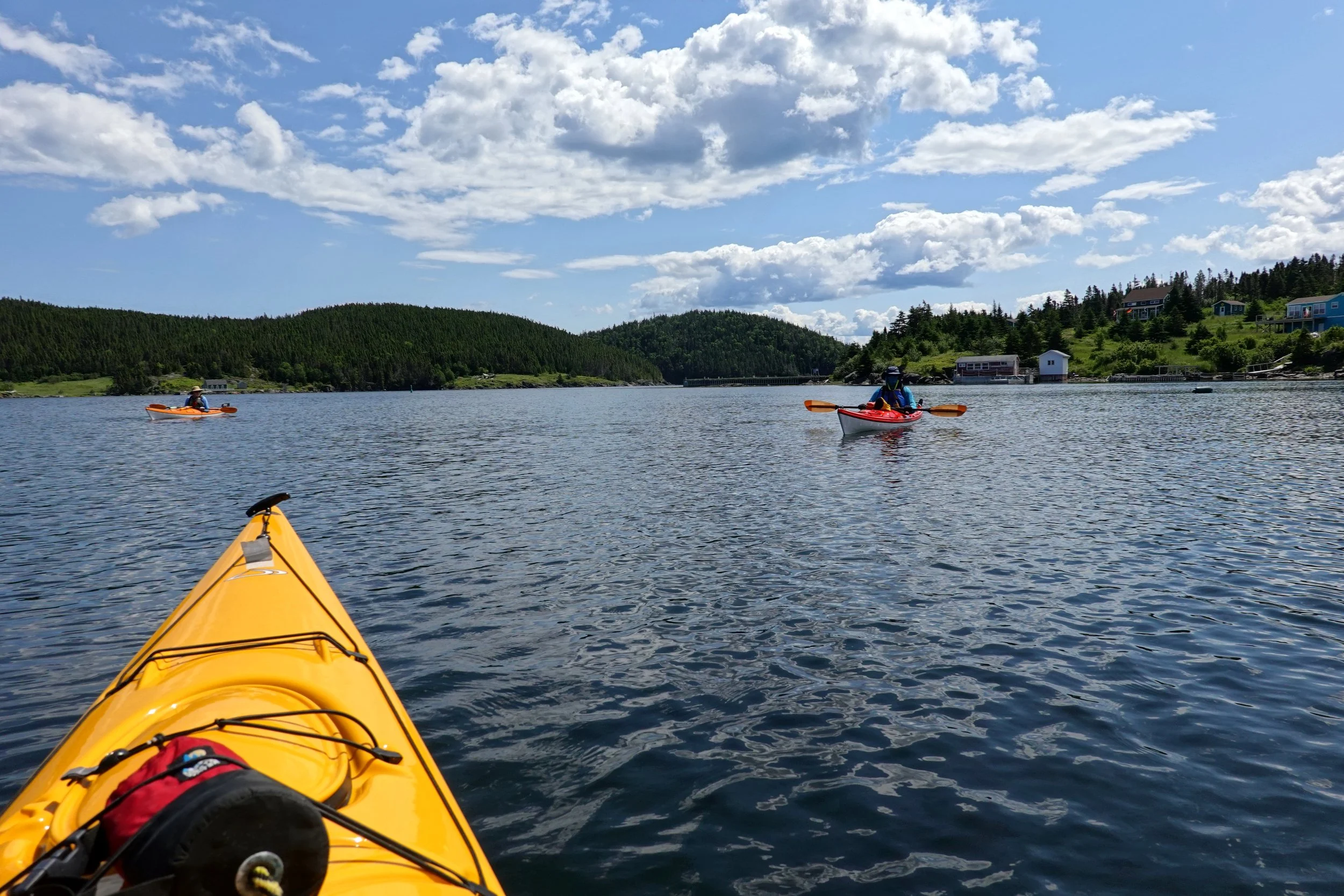Out on the water in Exploits Upper Harbour