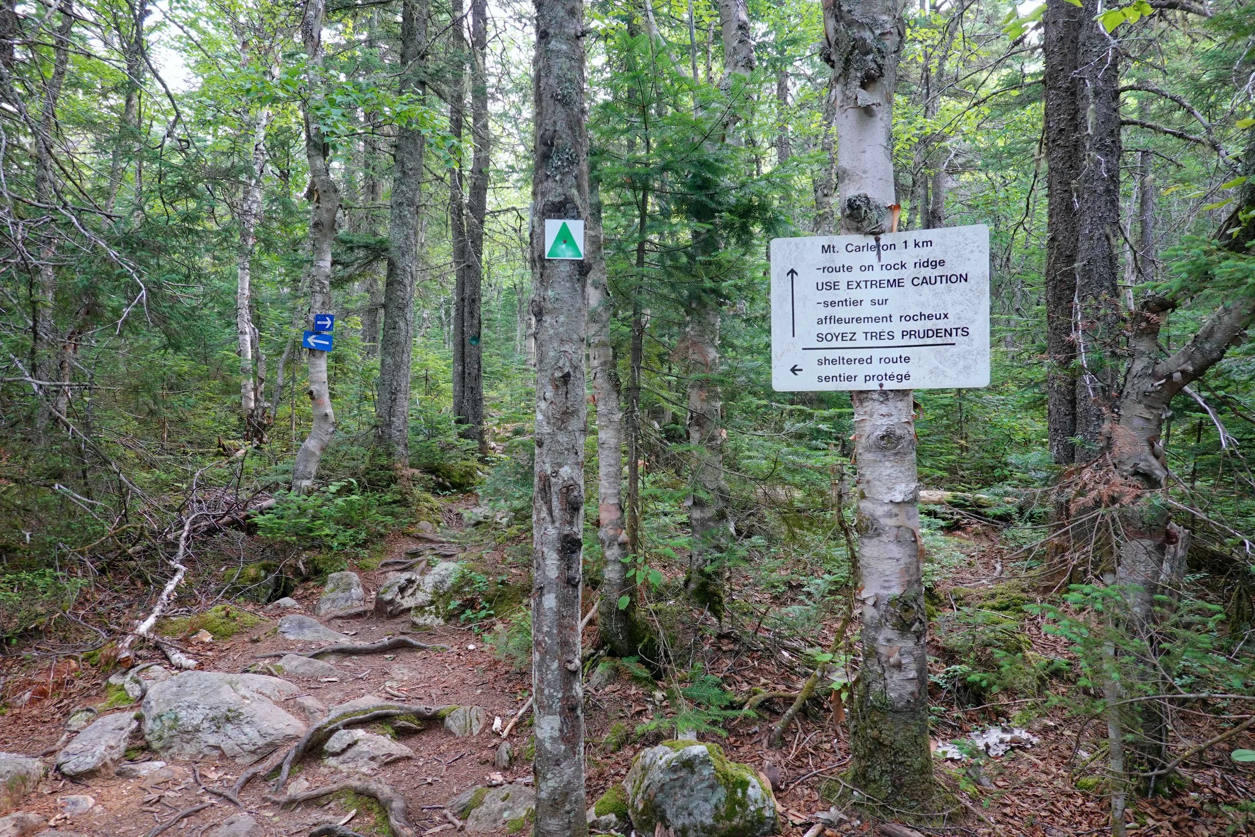 Mount Carleton Trail