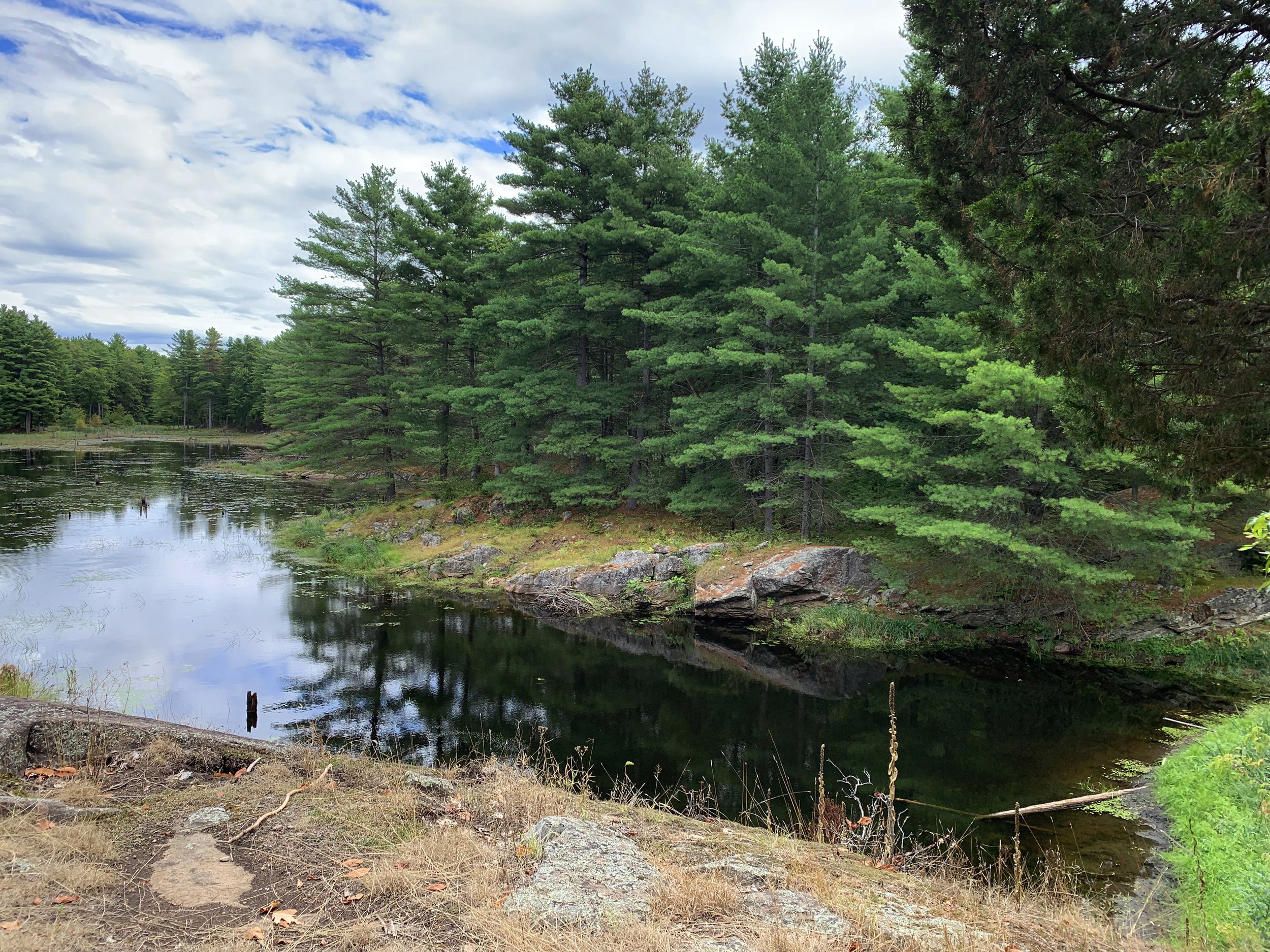 Doe Lake Trail