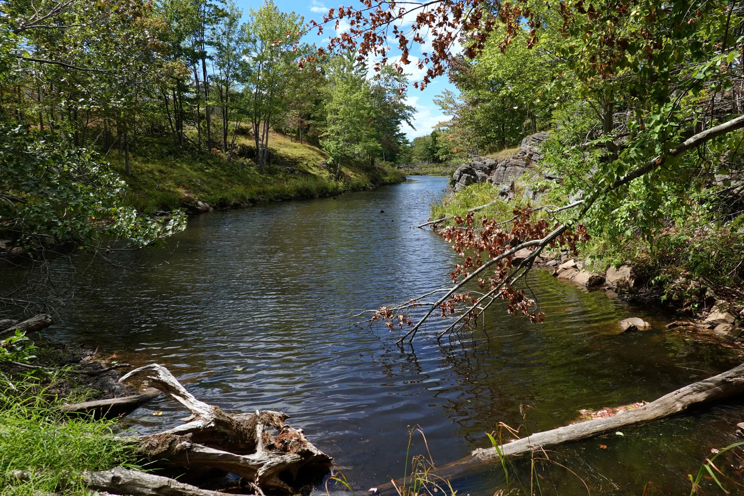 Arkon Lake Loop