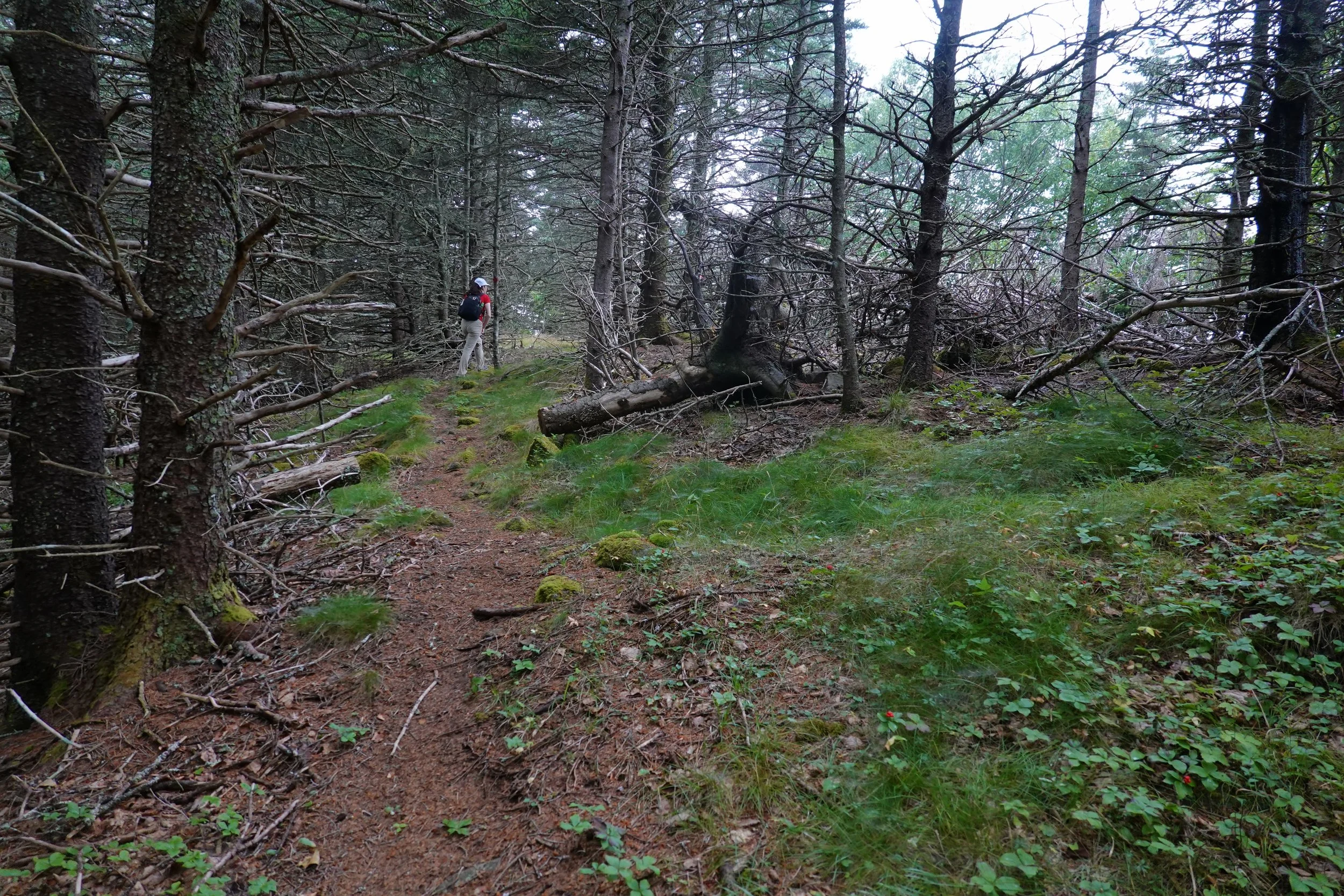 Dark Harbour to Little Dark Harbour Trail