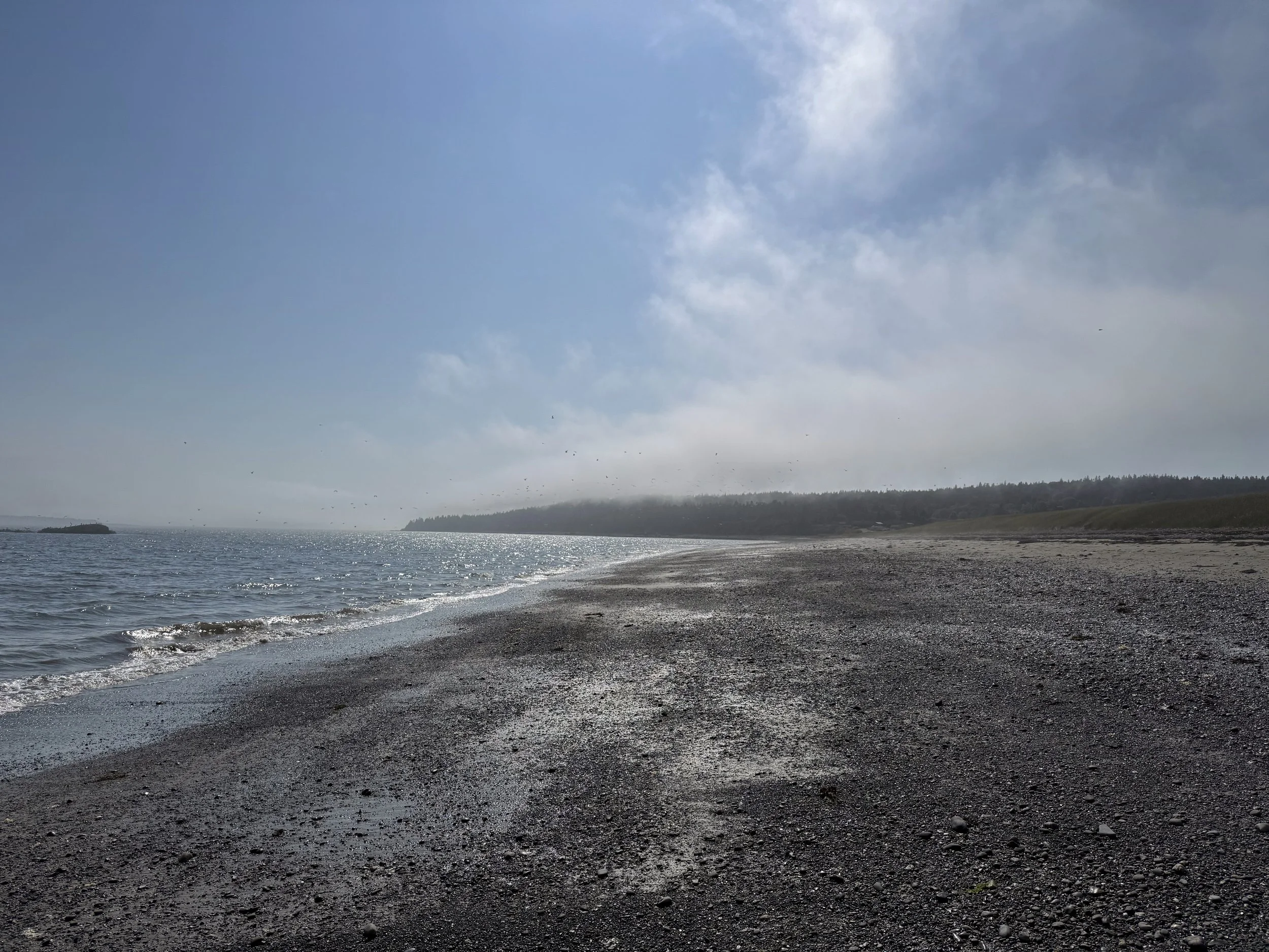 Beach at Anchorage Provincial Park