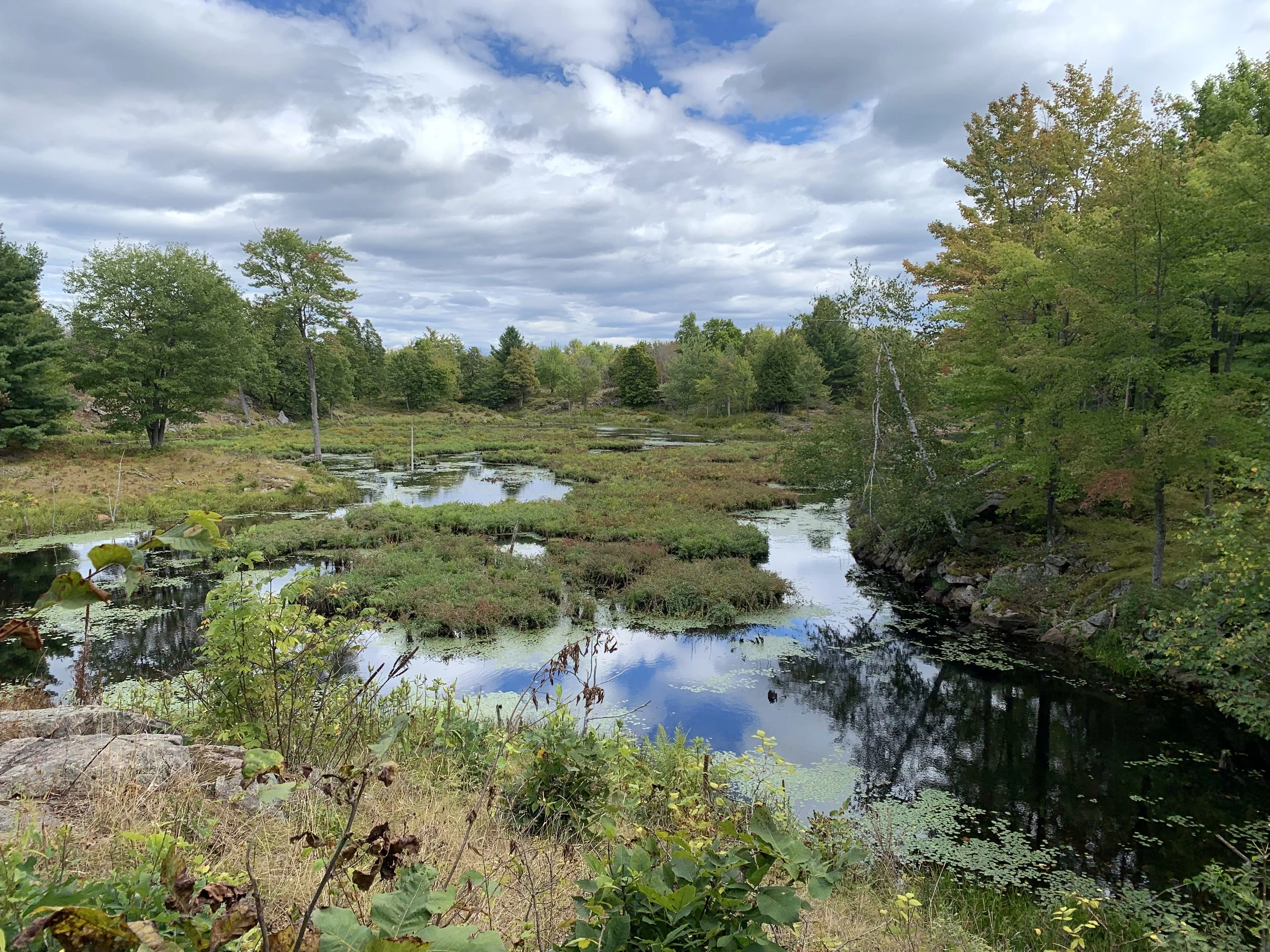 Arkon Lake Loop