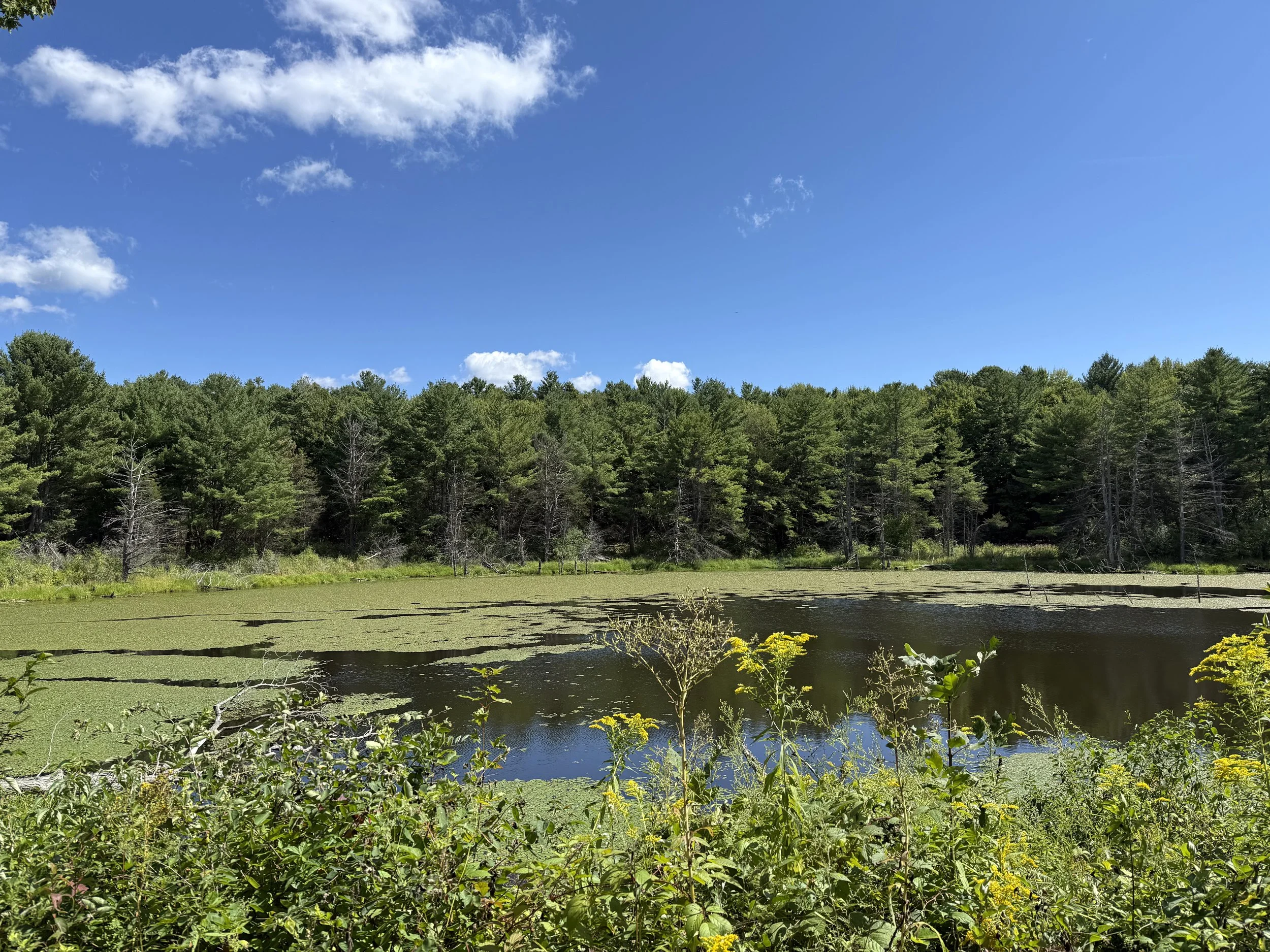 Moran Trail