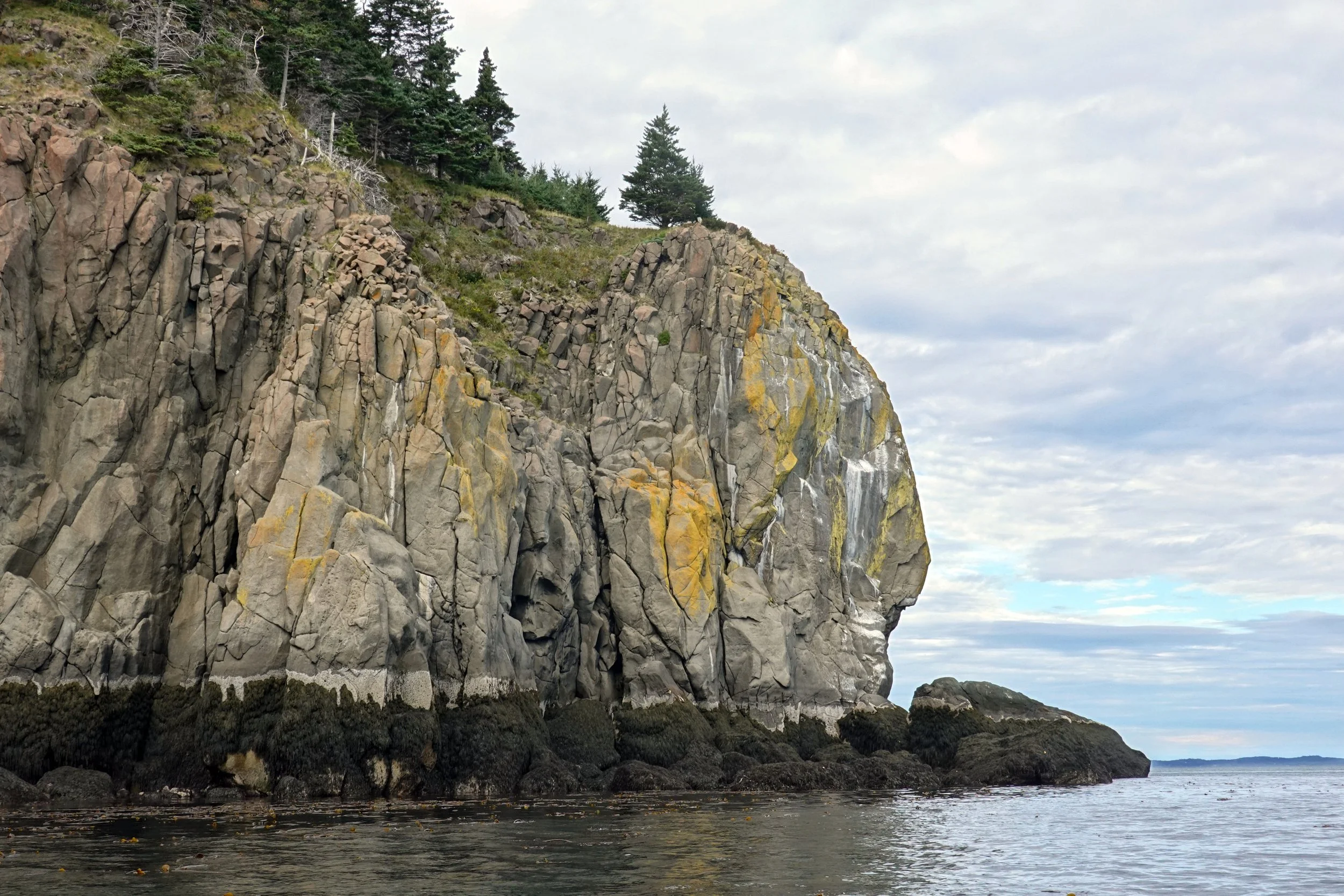 The Bishop along Whale Cove to Whistle