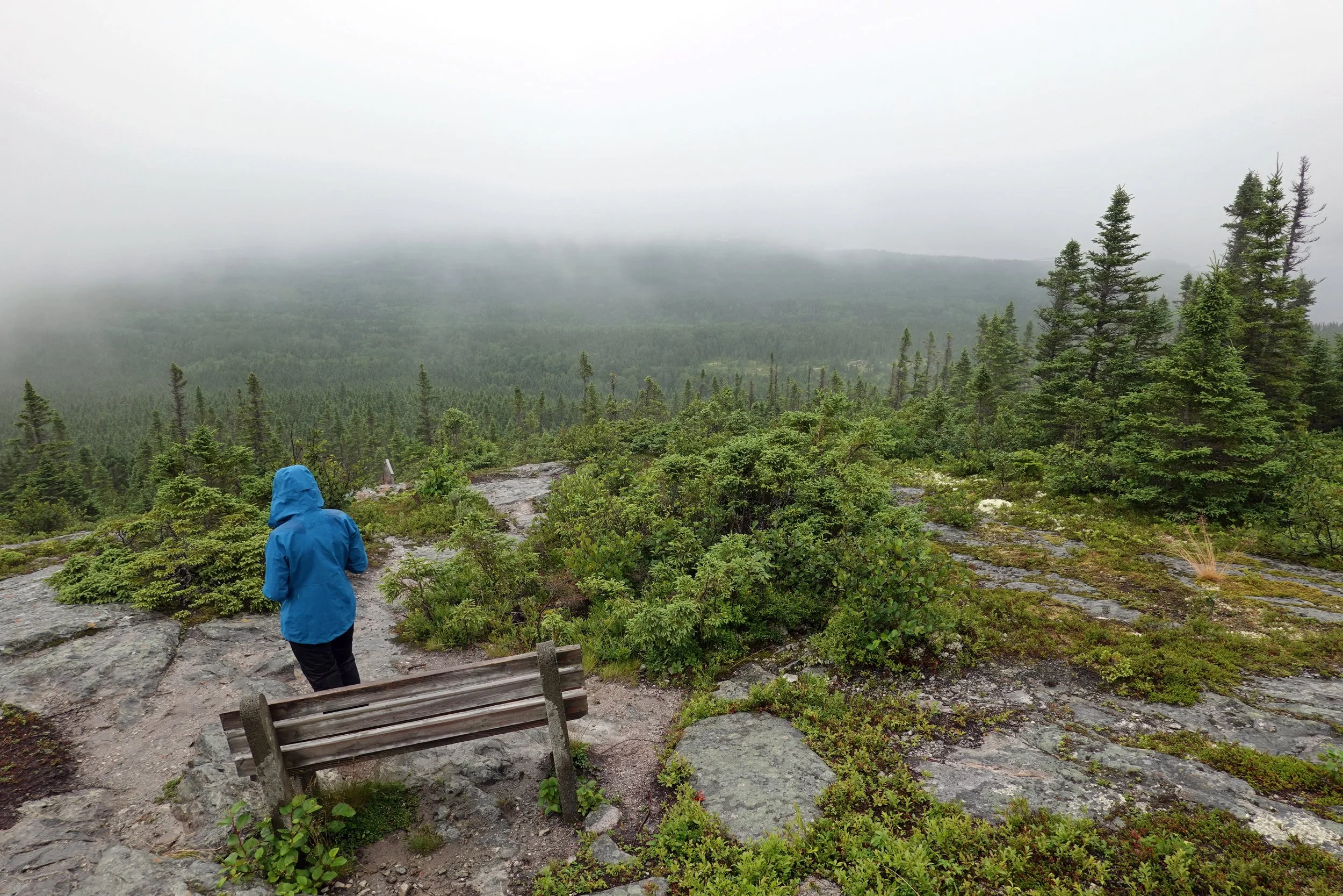Louil Hill trail