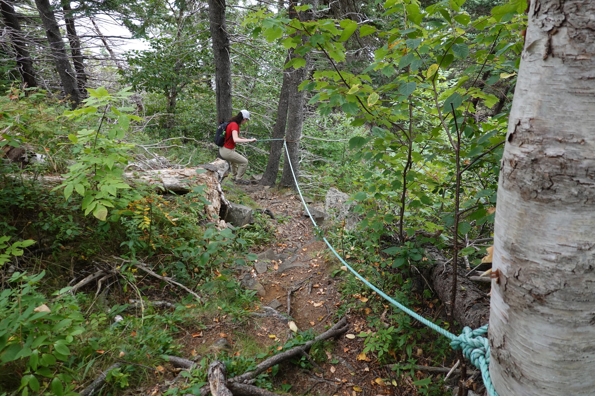 Thomas B. Munro Memorial Shoreline Nature Preserve