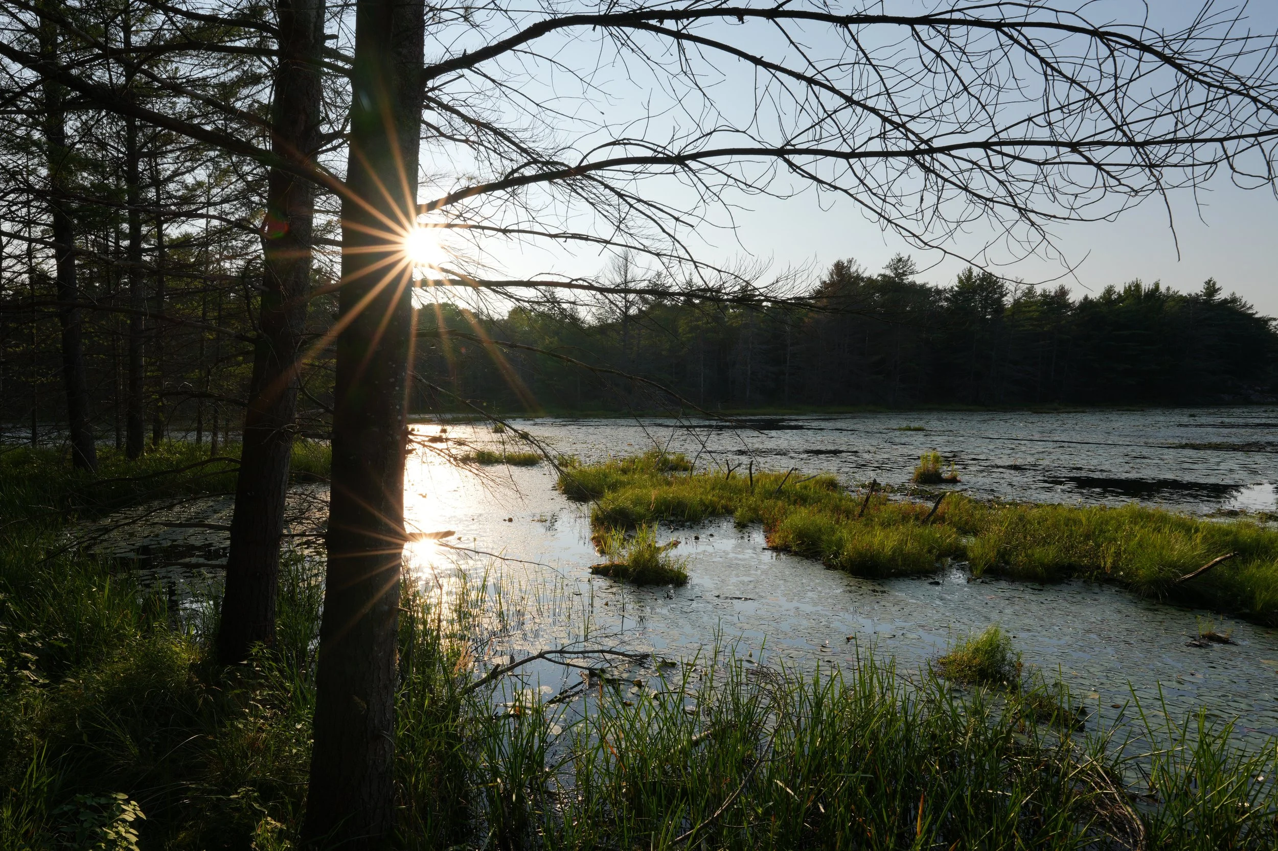 Along The Living Edge Trail