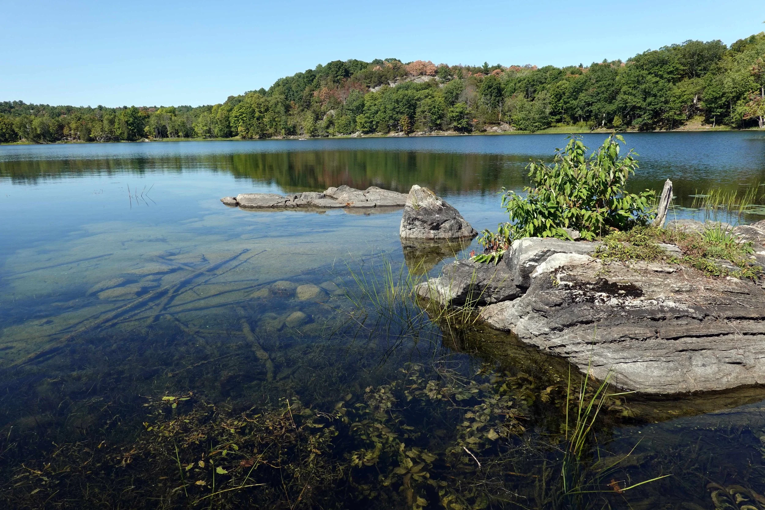 Sim Bay along Tallow Rock Bay trail