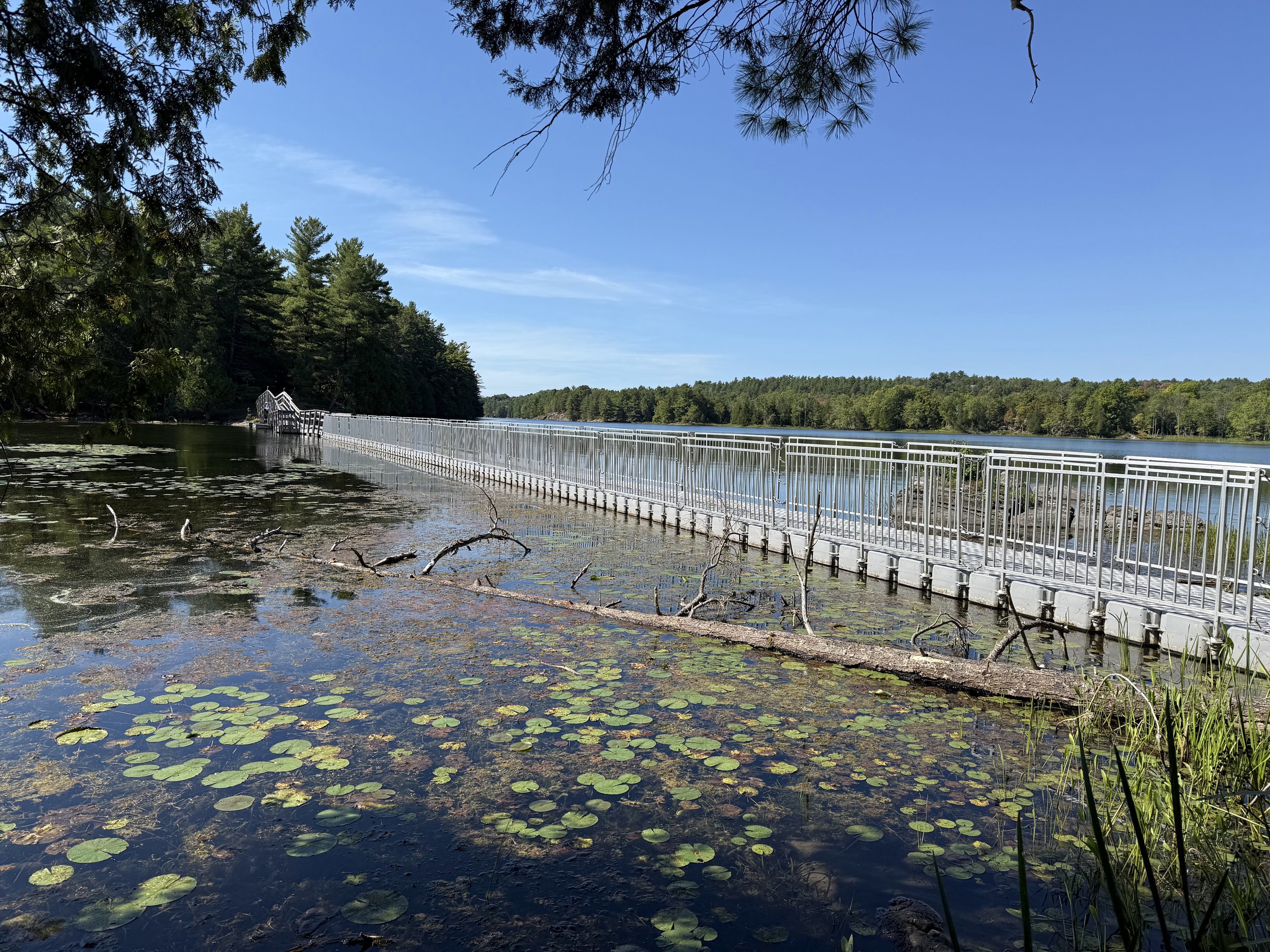 Sim Bay Bridge along Tallow Rock Bay Trail