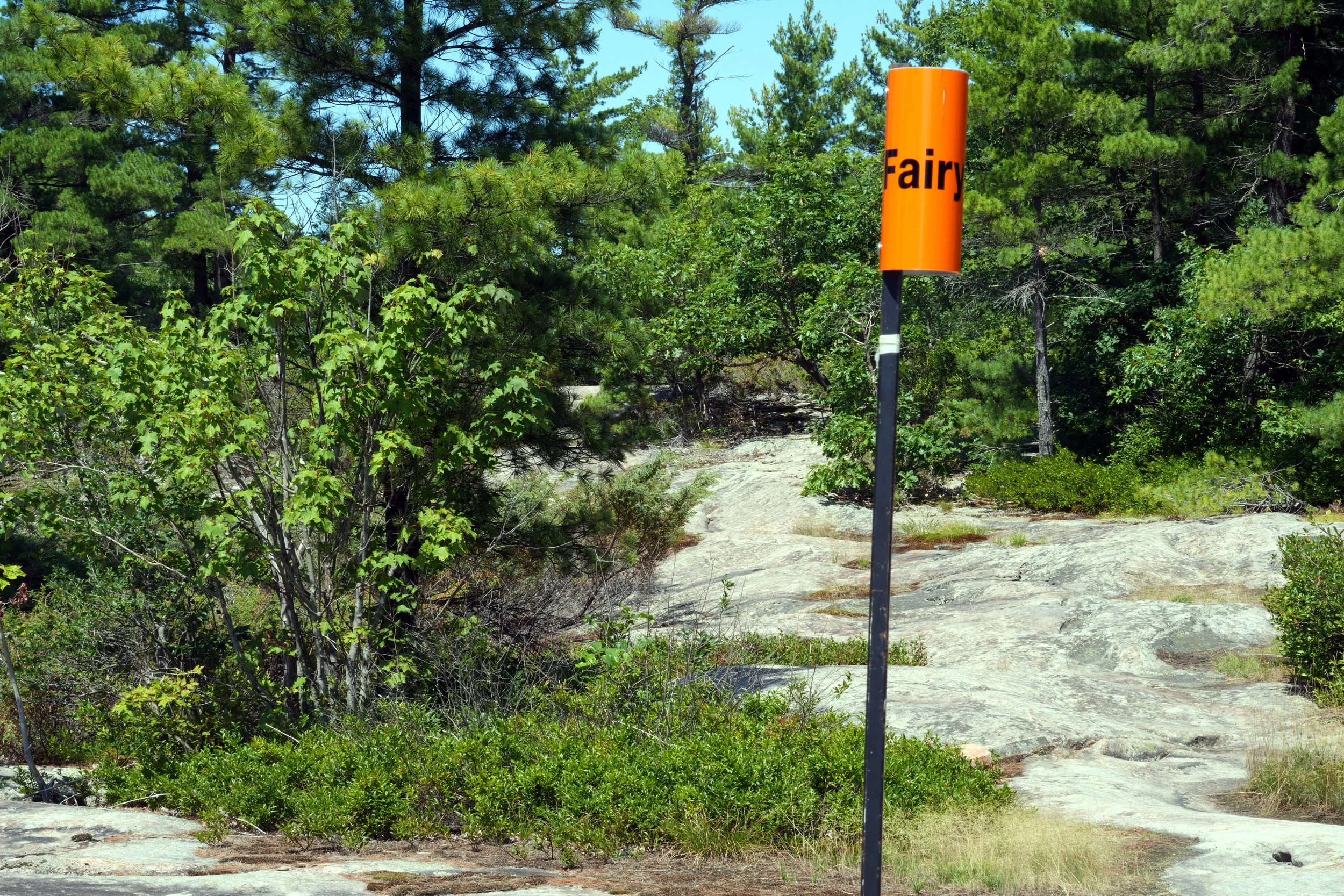 Along Fairy Trail