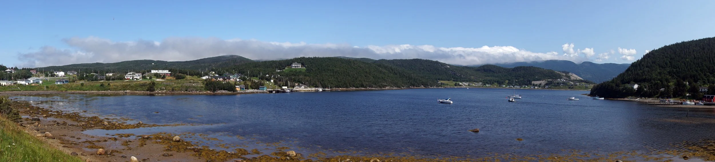 Bonne Bay at Norris Point