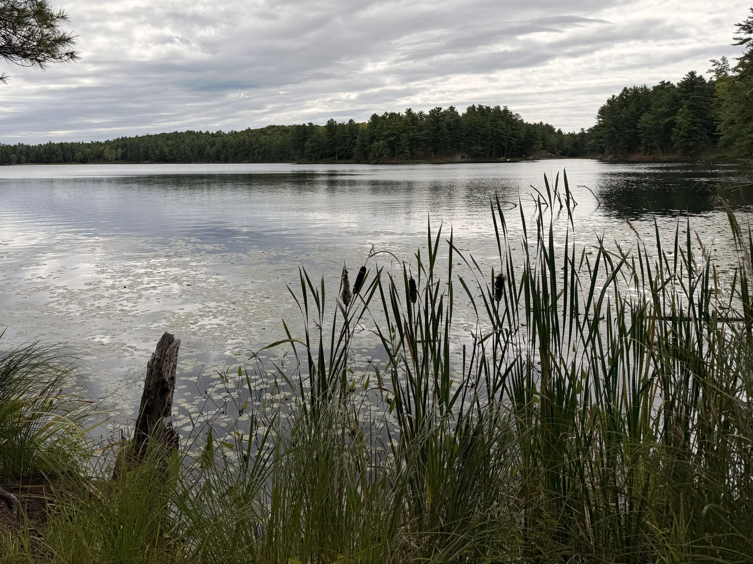 Doe Lake Trail