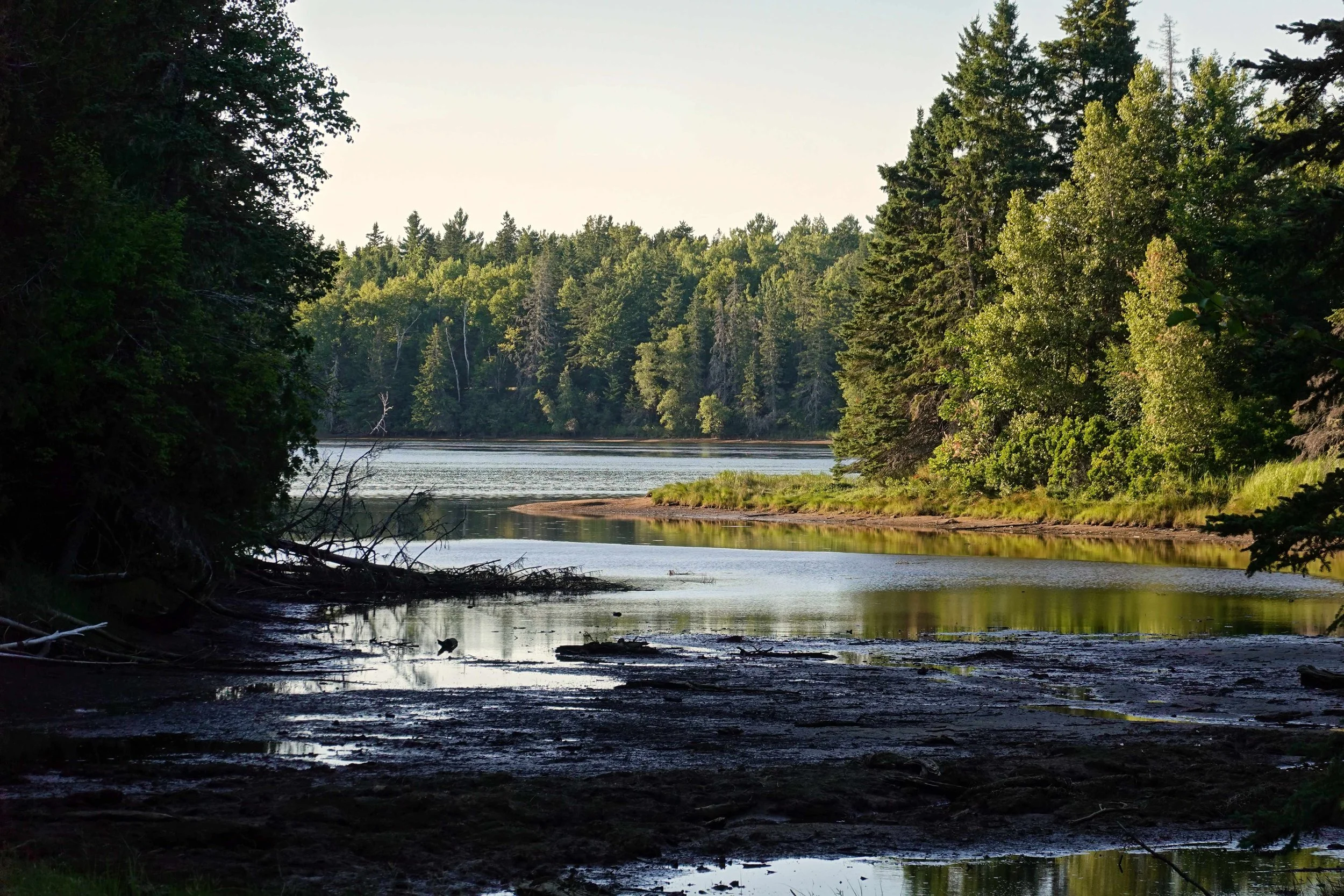Kouchibouguac River Trail