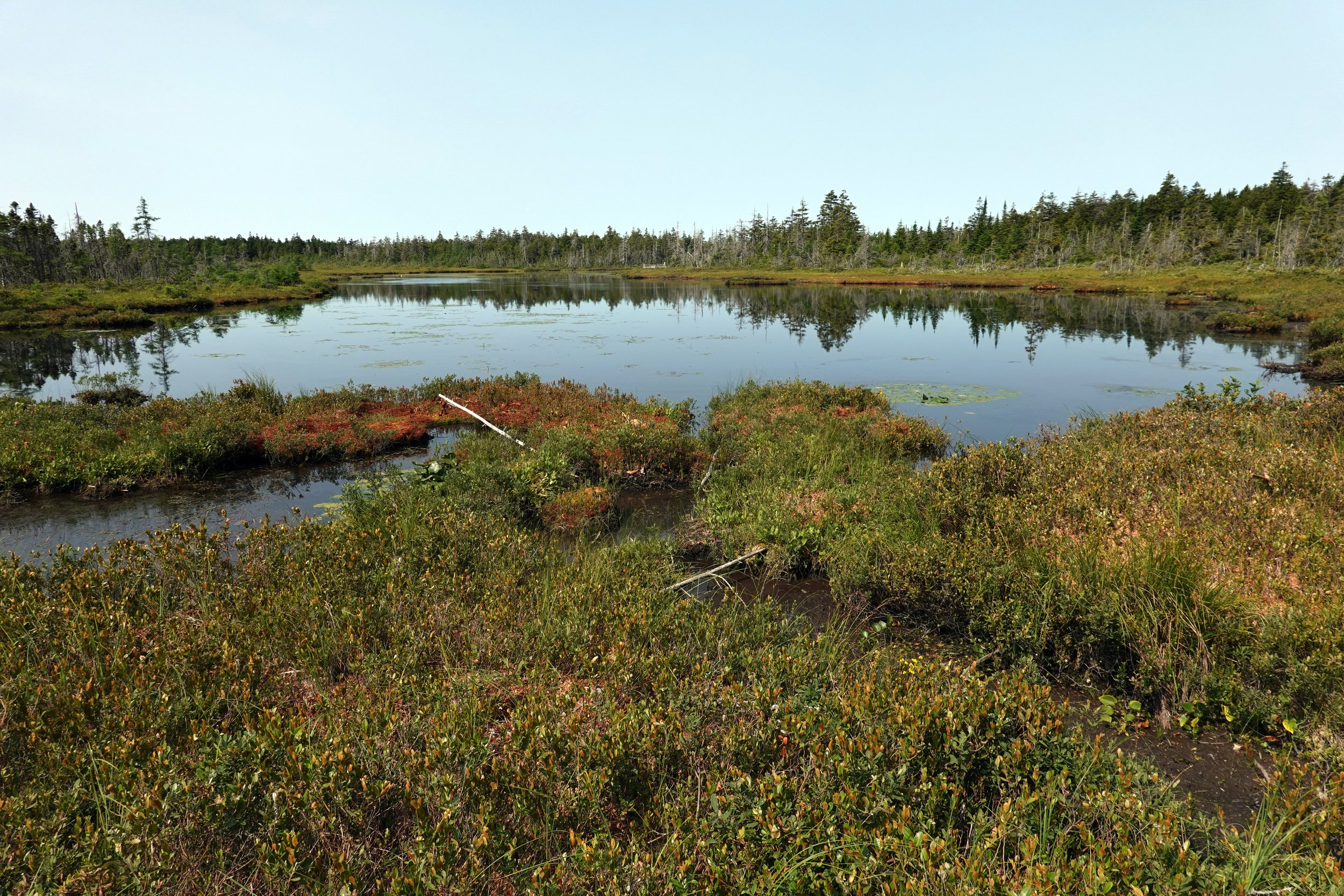Caribou Plain Trail