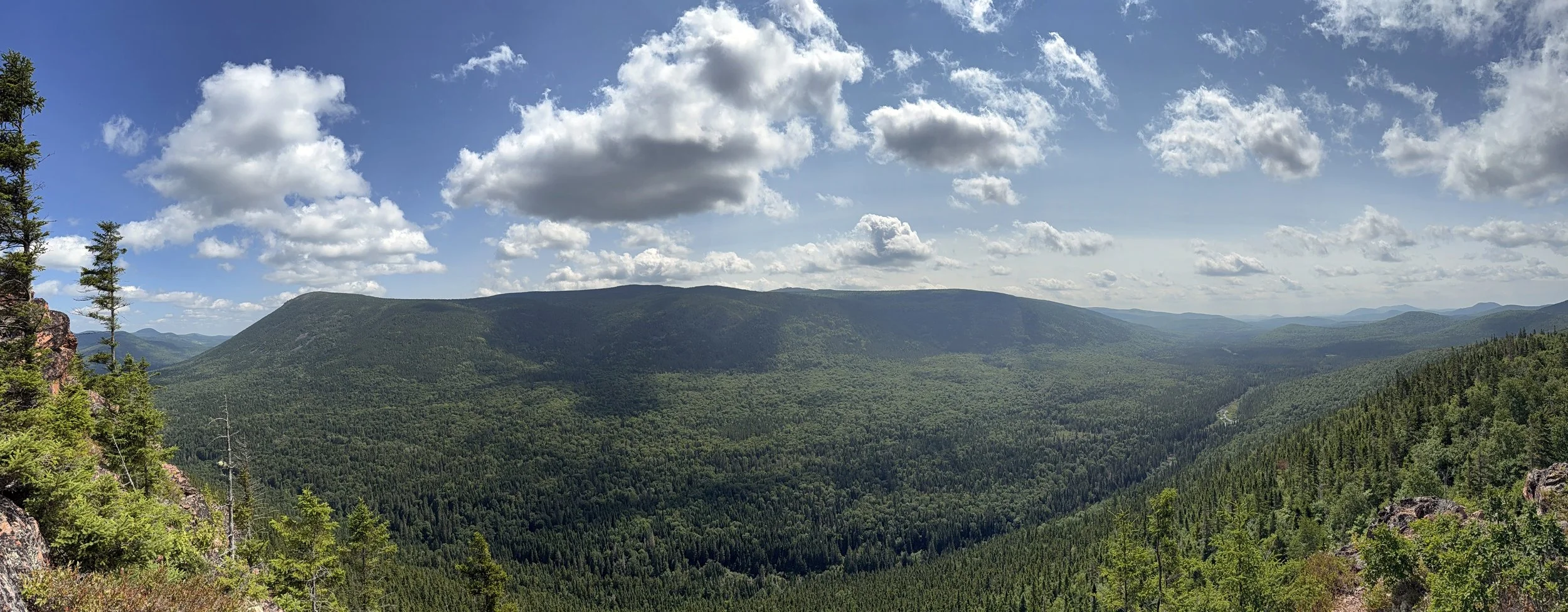View from Mount Bailey Trail