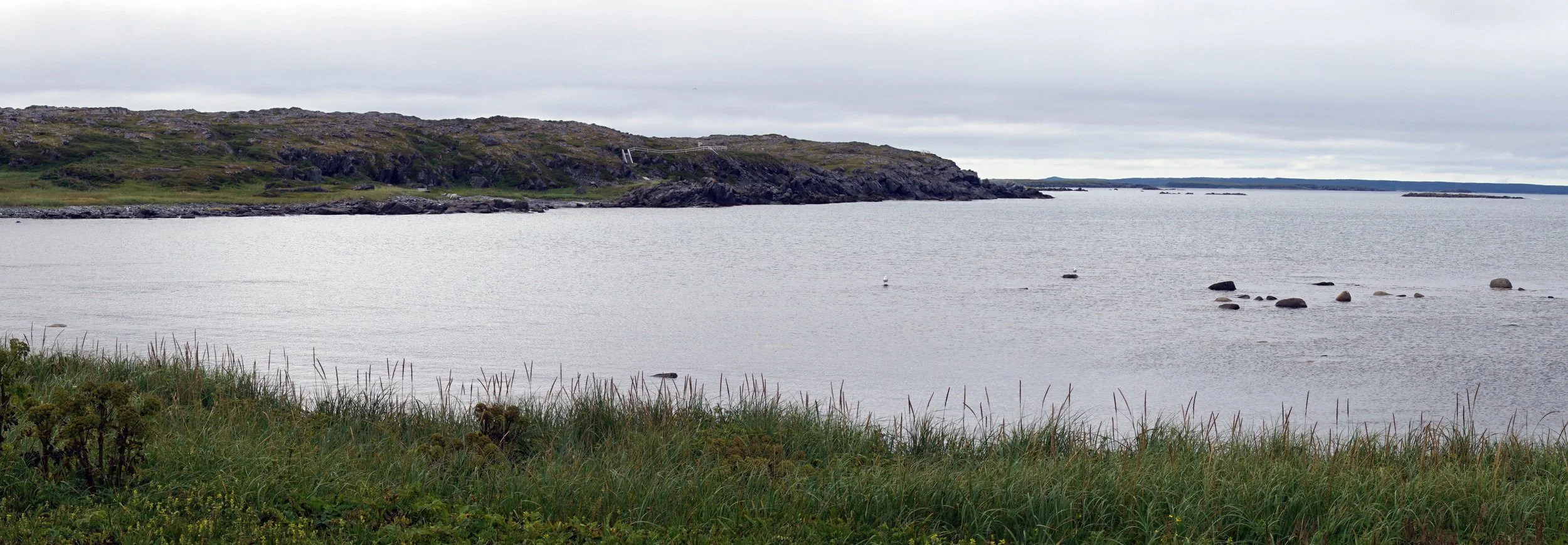 Coast at Great Northern Peninsula