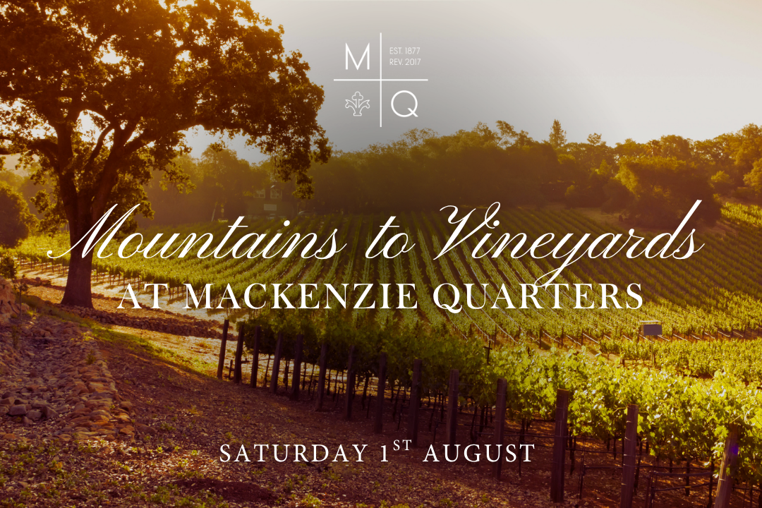 Vineyards, winetasting, event