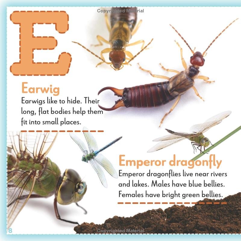 Bugs A to Z - E.jpg