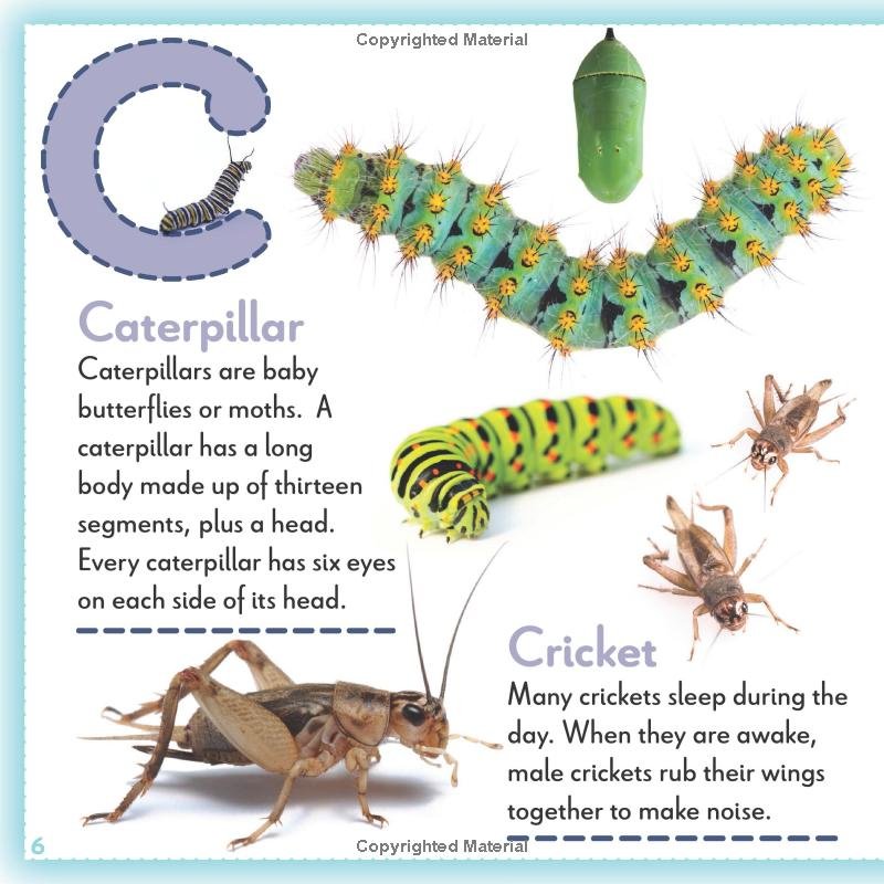 Bugs A to Z - C.jpg