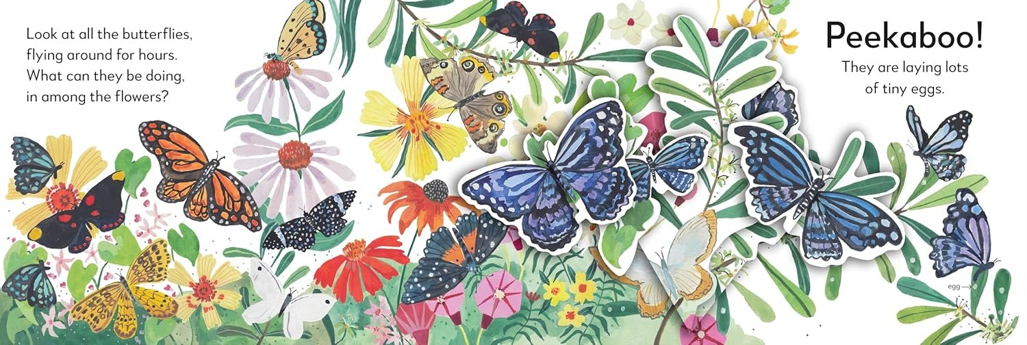 Pop Up Peekaboo Butterfly - Inside 2.jpg