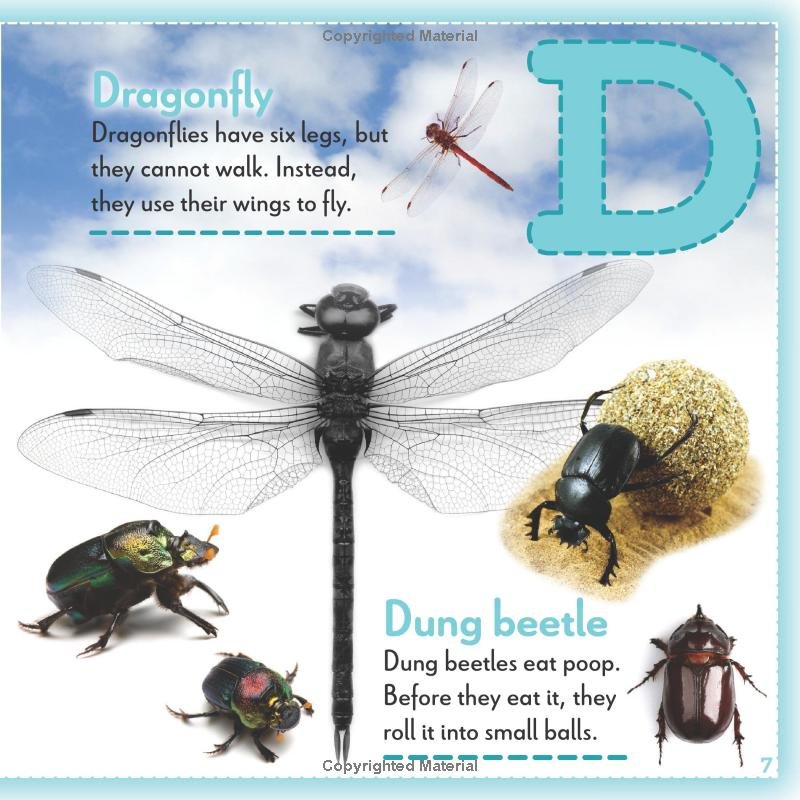 Bugs A to Z - D.jpg