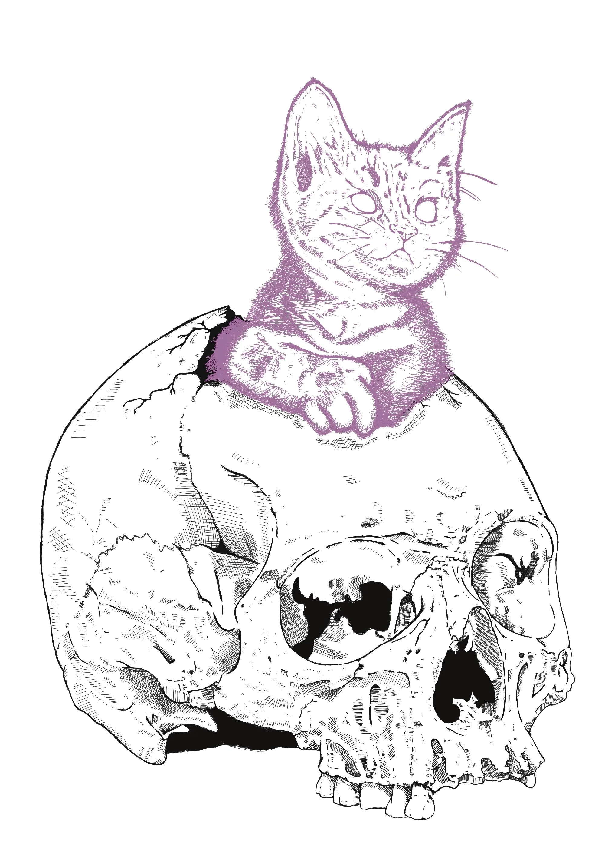 KitSkull pink 01.jpg