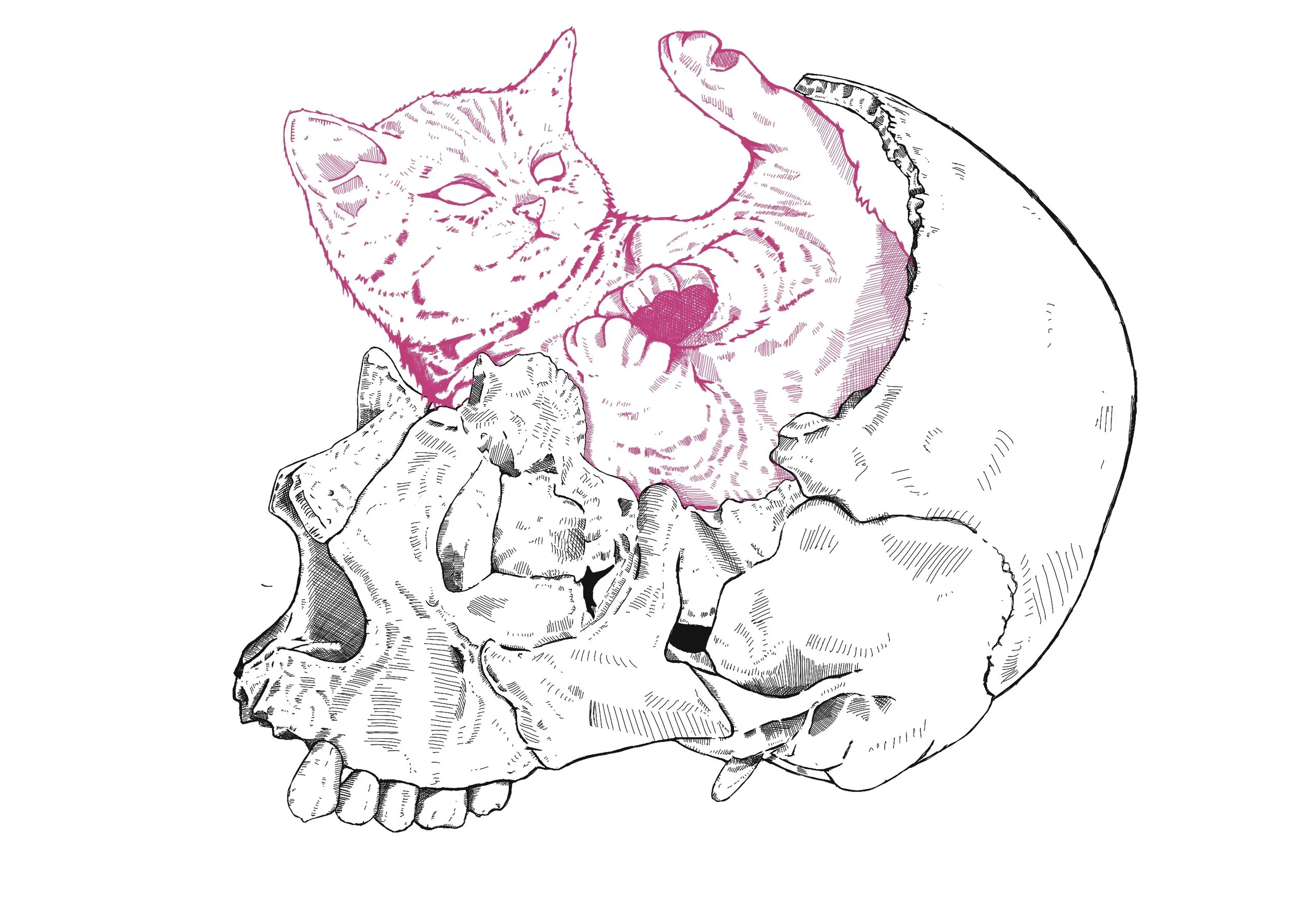 KitSkull Pink 02.jpg