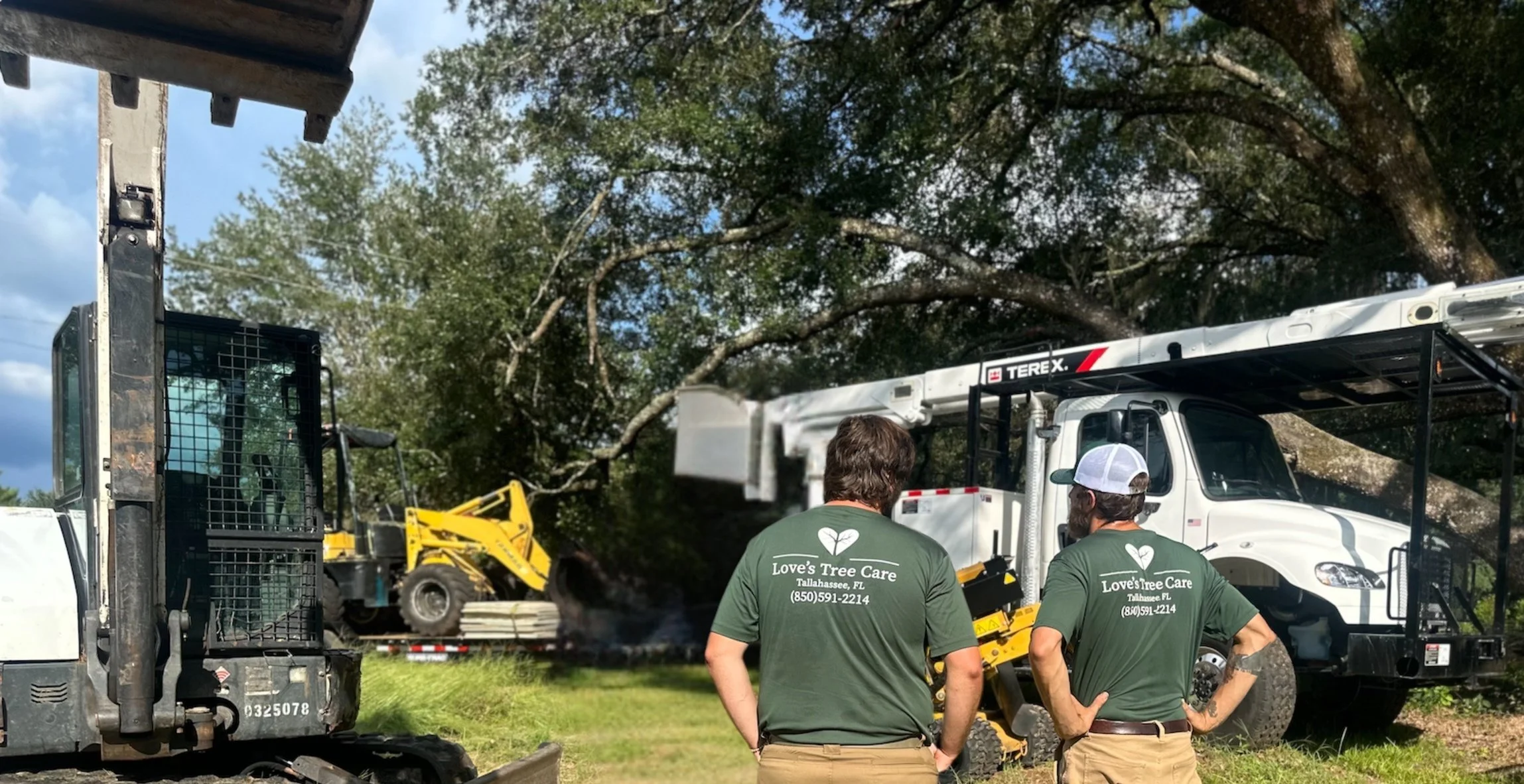 Love's Tree Care gallery 3