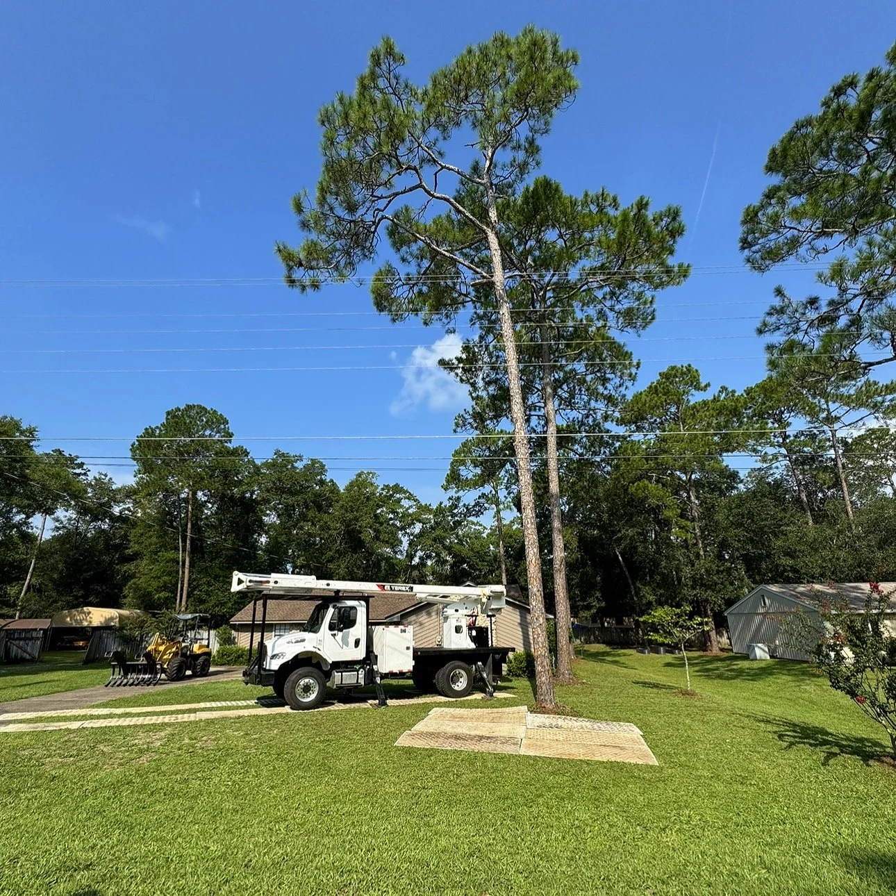 Love's Tree Care gallery 4
