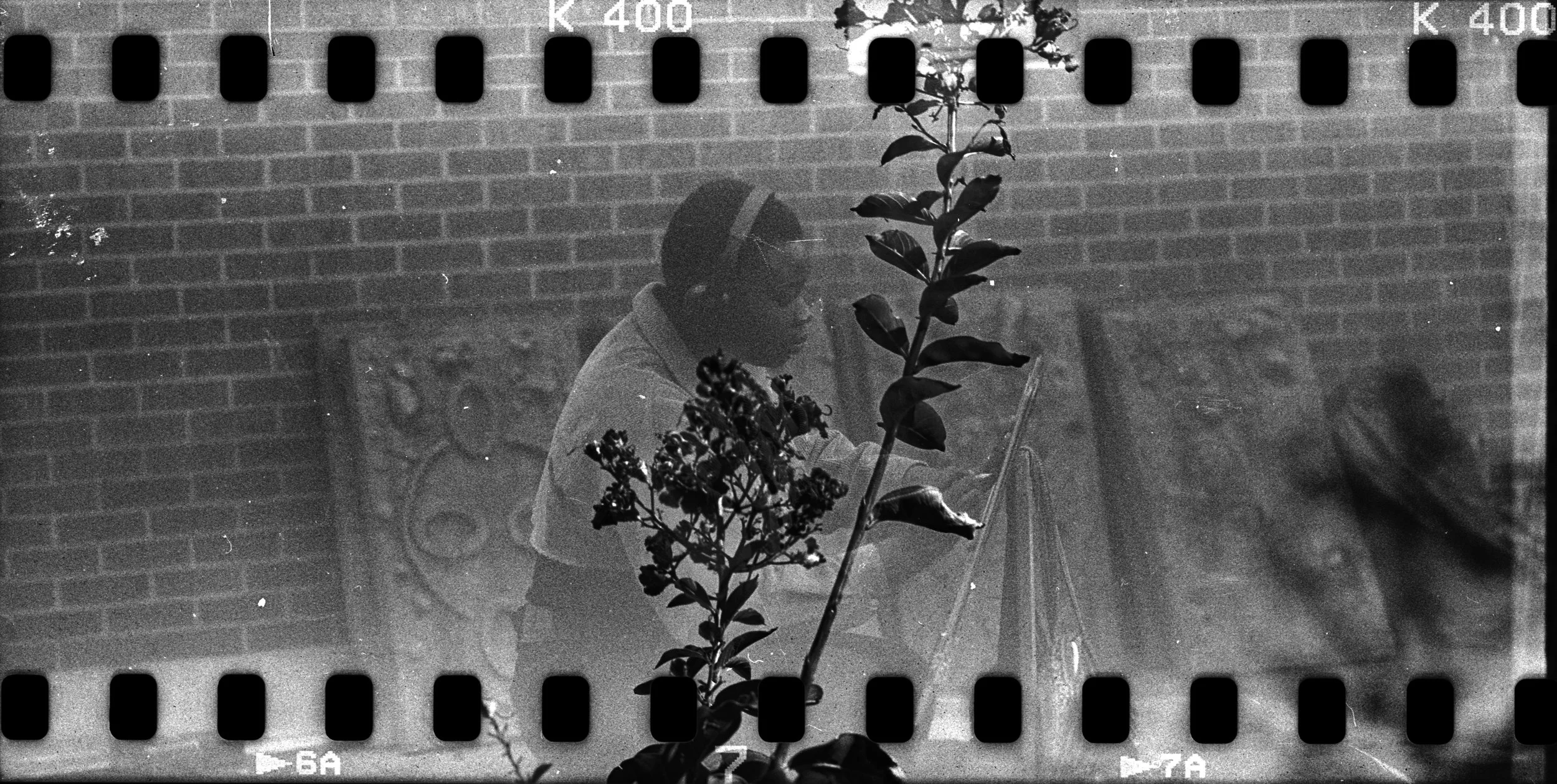 Flower and Painter.jpg