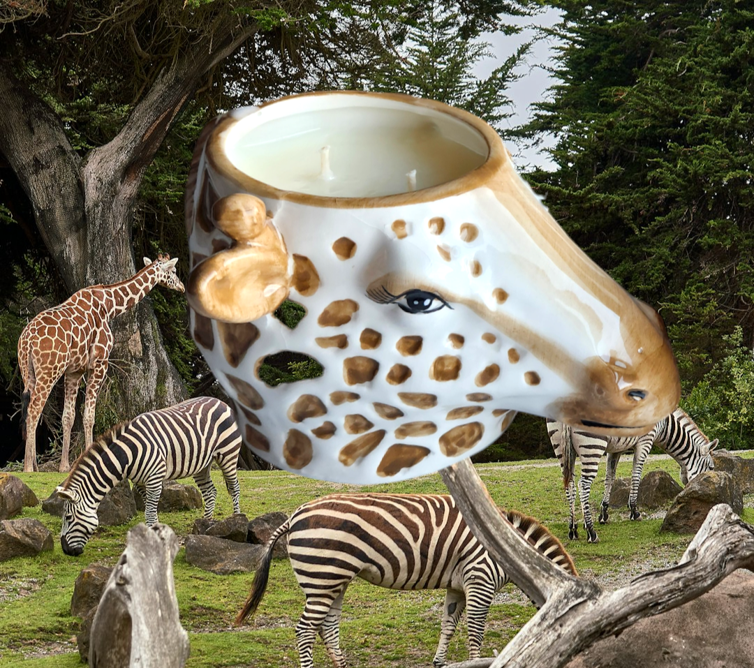 Photoroom-20250409_161225.png