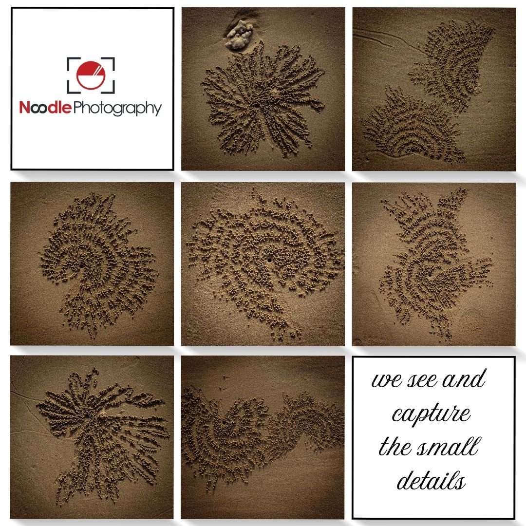 Noodle Photography : Attention to Detail

If you are looking for a schools photography marketing specialist that cares about the small details, then look no further. We pride ourselves in caring about the smallest of details to help you capture the h