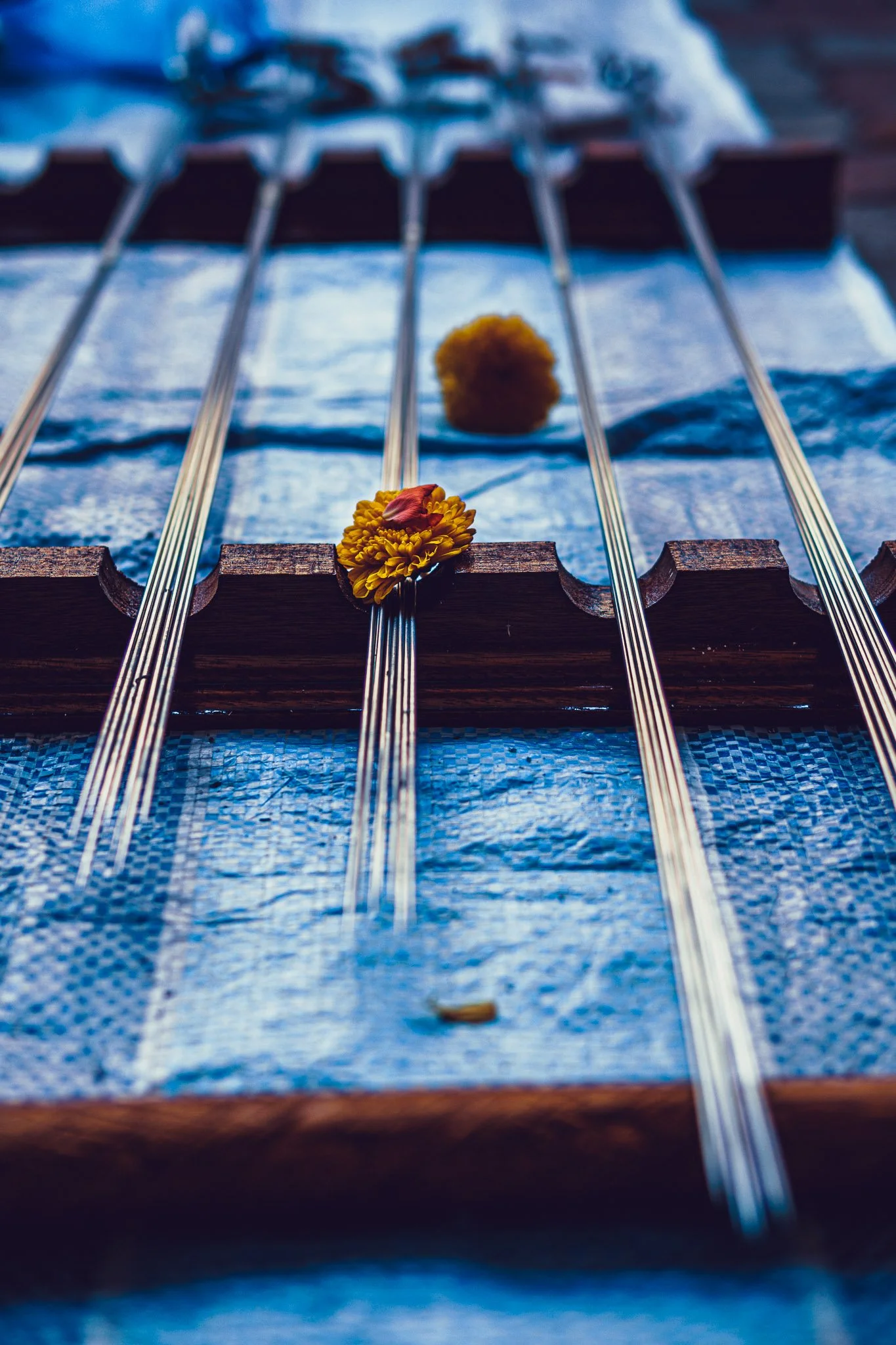 Thaipusam_8220_ 0279.jpg