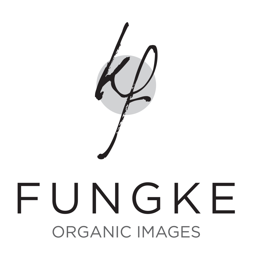 fungke