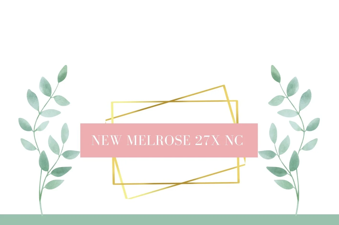 New Elected Steering Committee Members News Blog