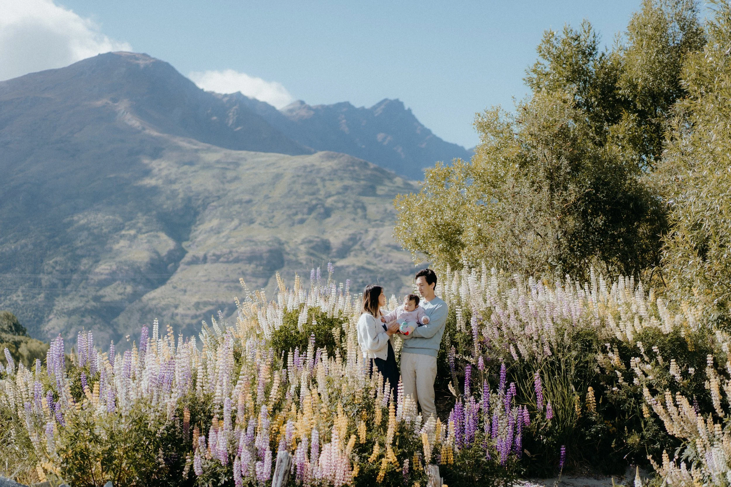 Parents holding their baby in a field of purple and yellow lupins