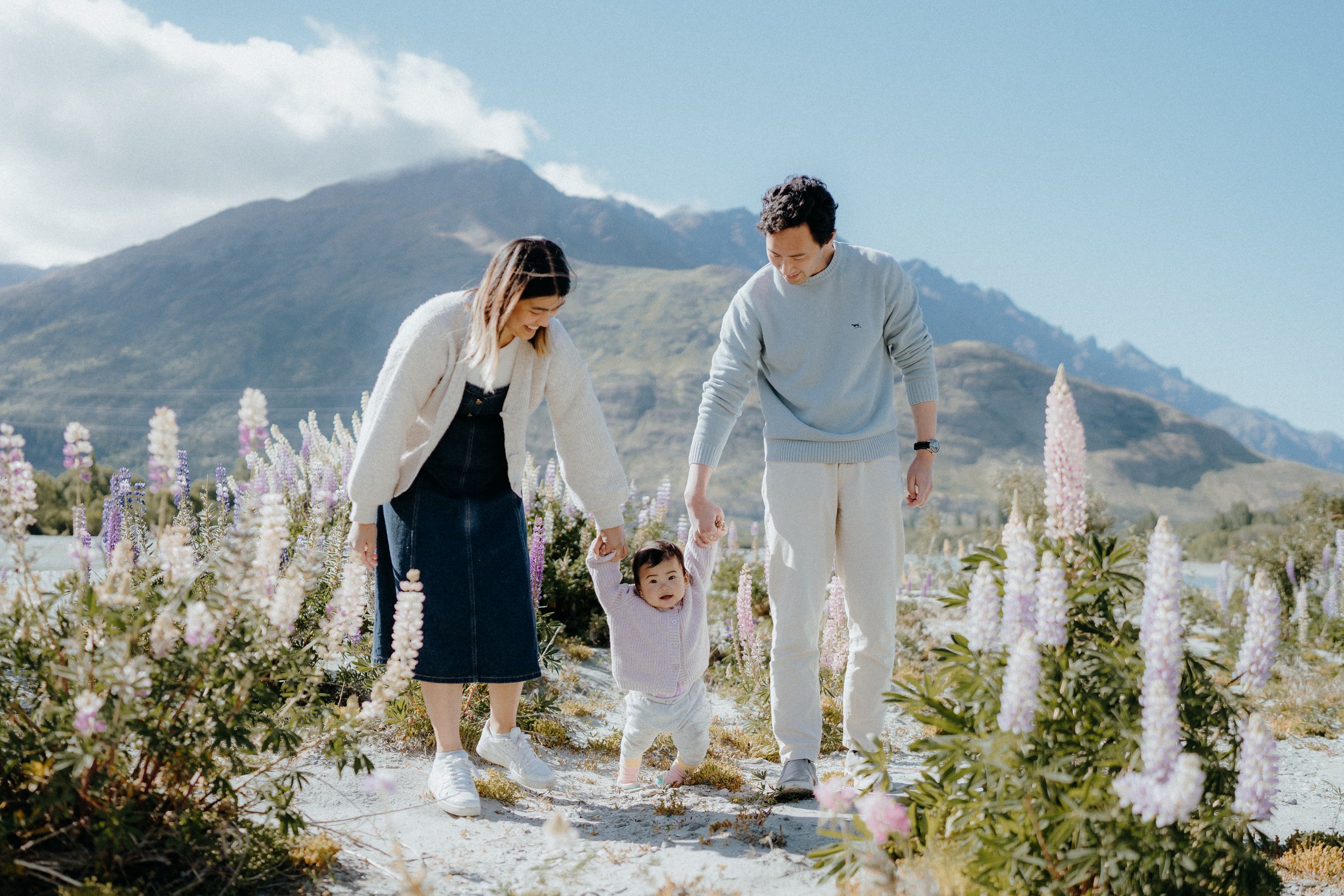 Parents walking through Lupin field next to old shotover bridge helping their toddler walk