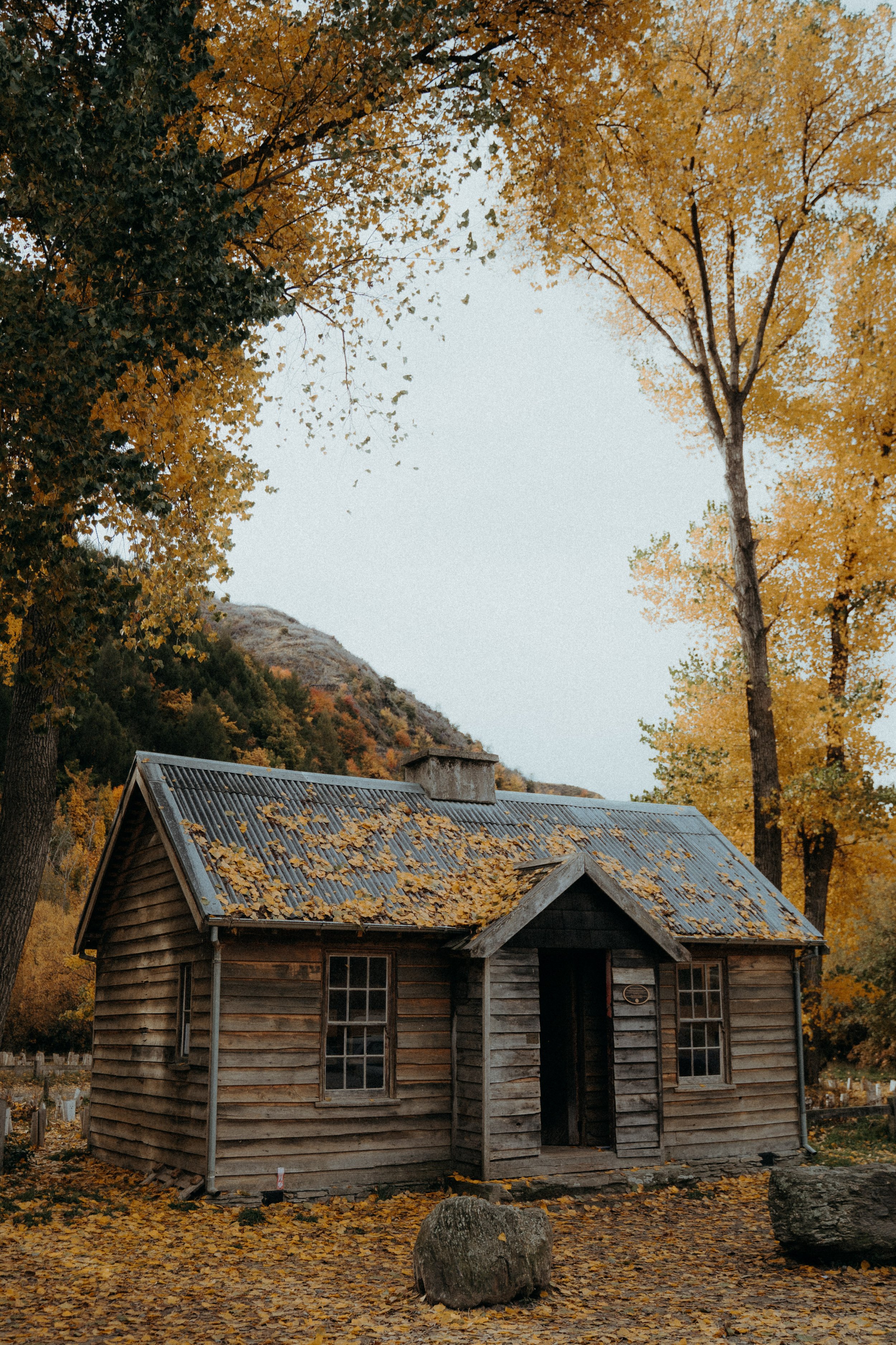 Old wooden house covered in Autumnal leaves