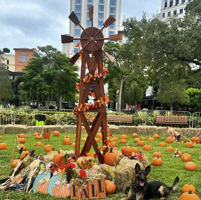 Coral Gables Pumpkin Patch