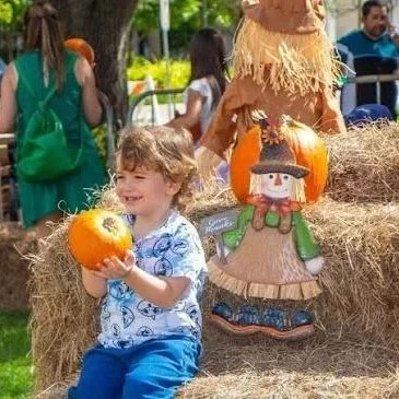 Coral Gables Pumpkin Patch