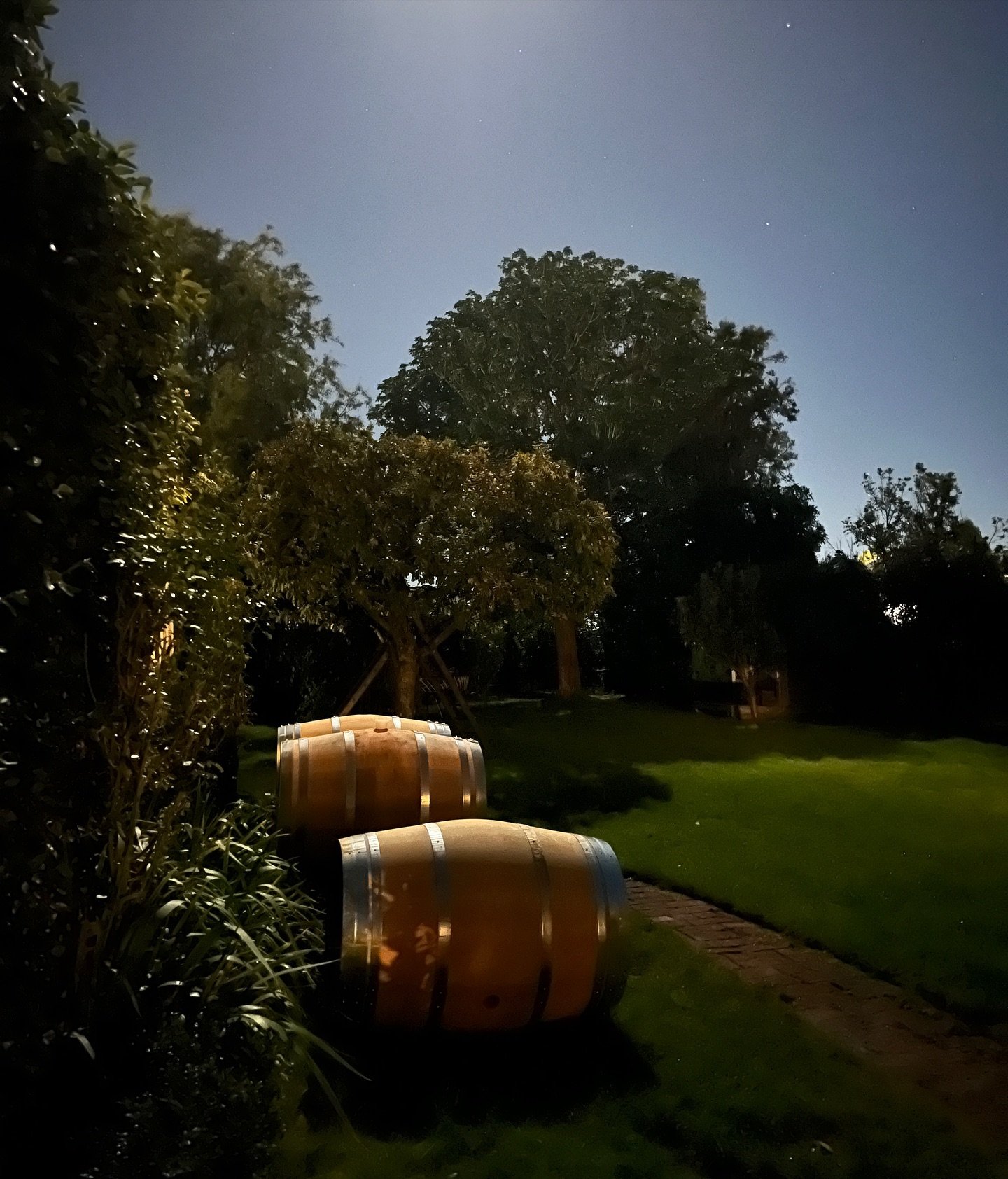 Full moon last night in the garden. 

Inside the garage, Cabernet, Syrah and Sangiovese fermenting away beautifully. 

Outside these Saury barrels wait patiently for pressing day. 

#chateaugarage #chateaugaragenz #hawkesbaywine #nzwine